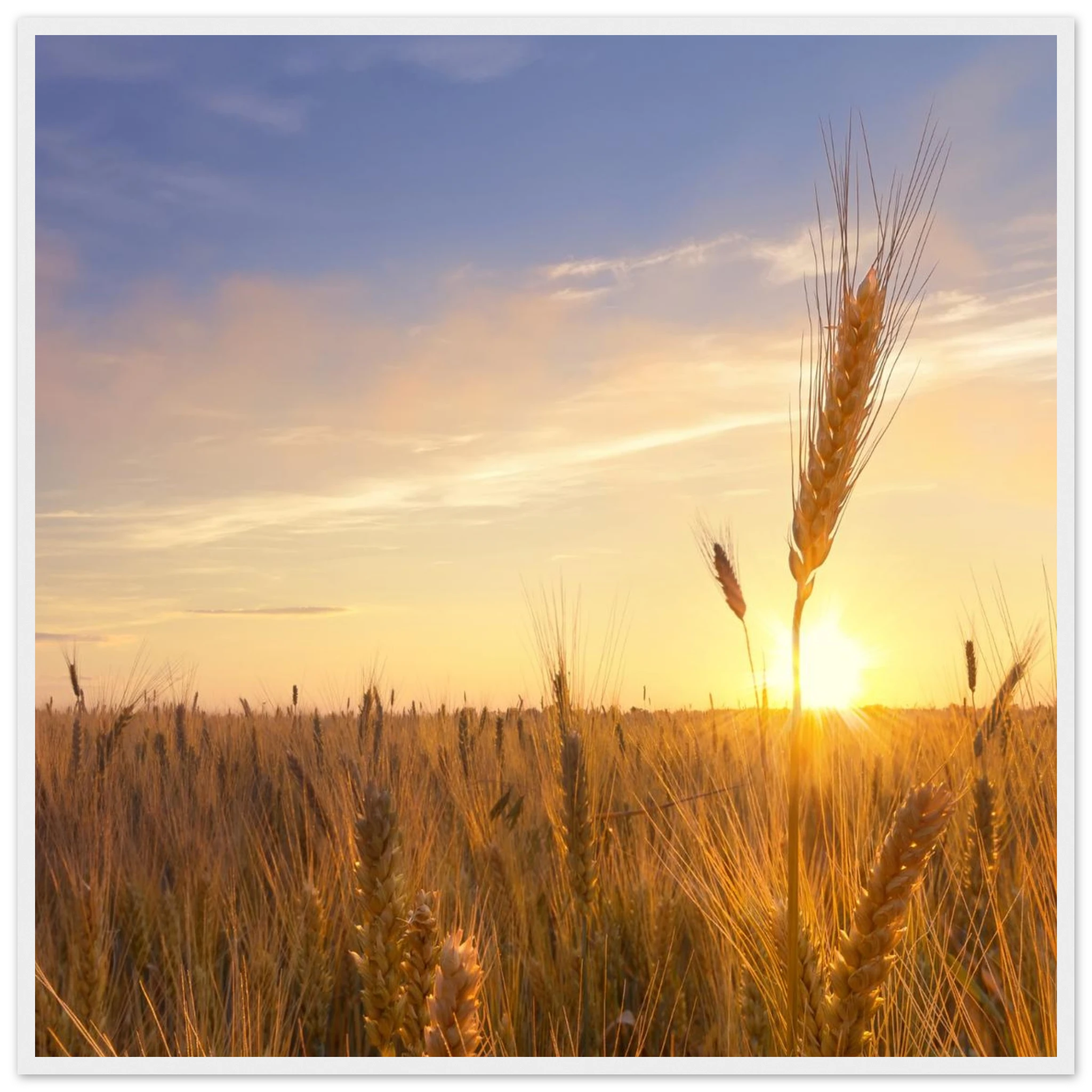 c4011920-510b-4e5a-af36-6ad357bbefe2