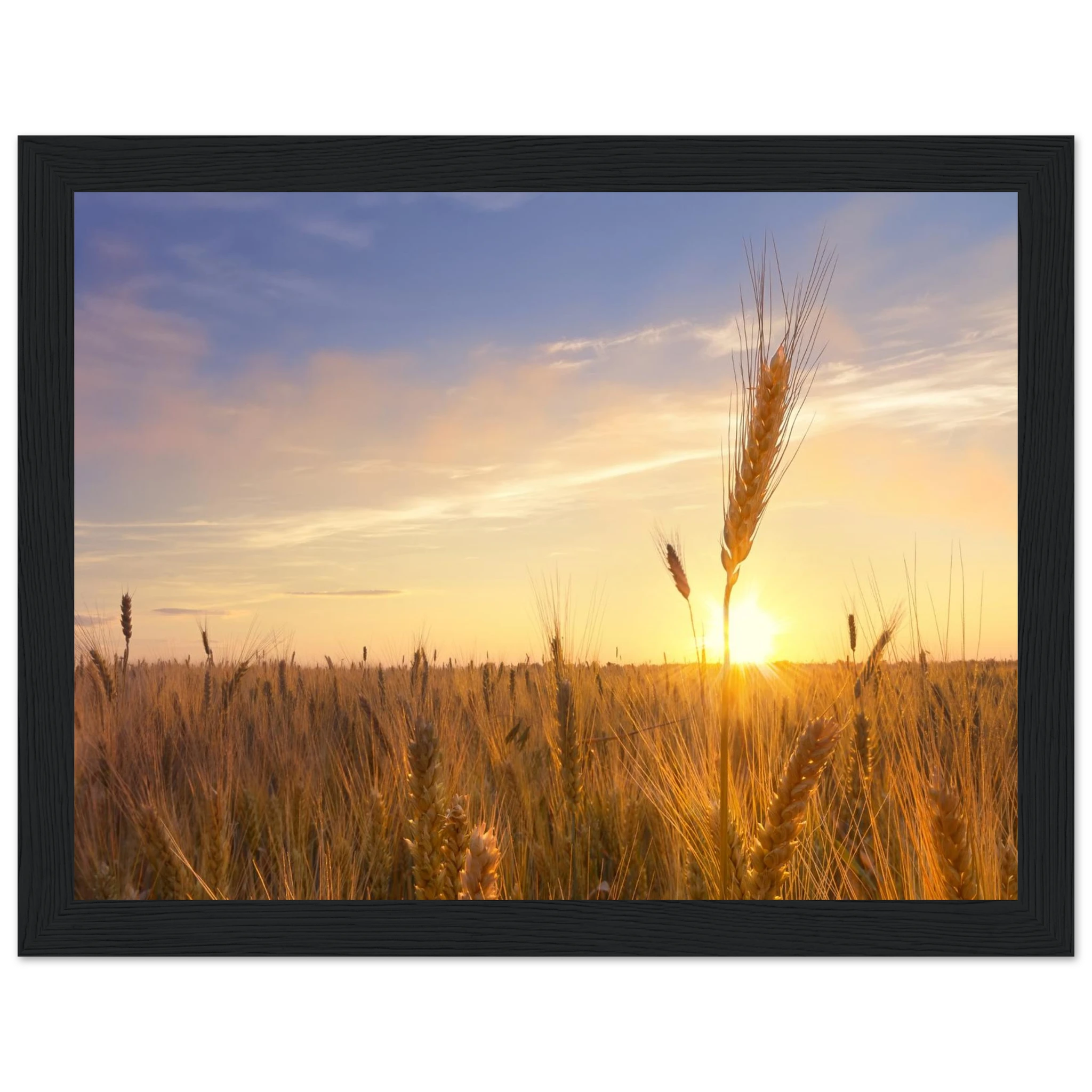 c435b0a4-a190-41fb-b745-8a636f05d303