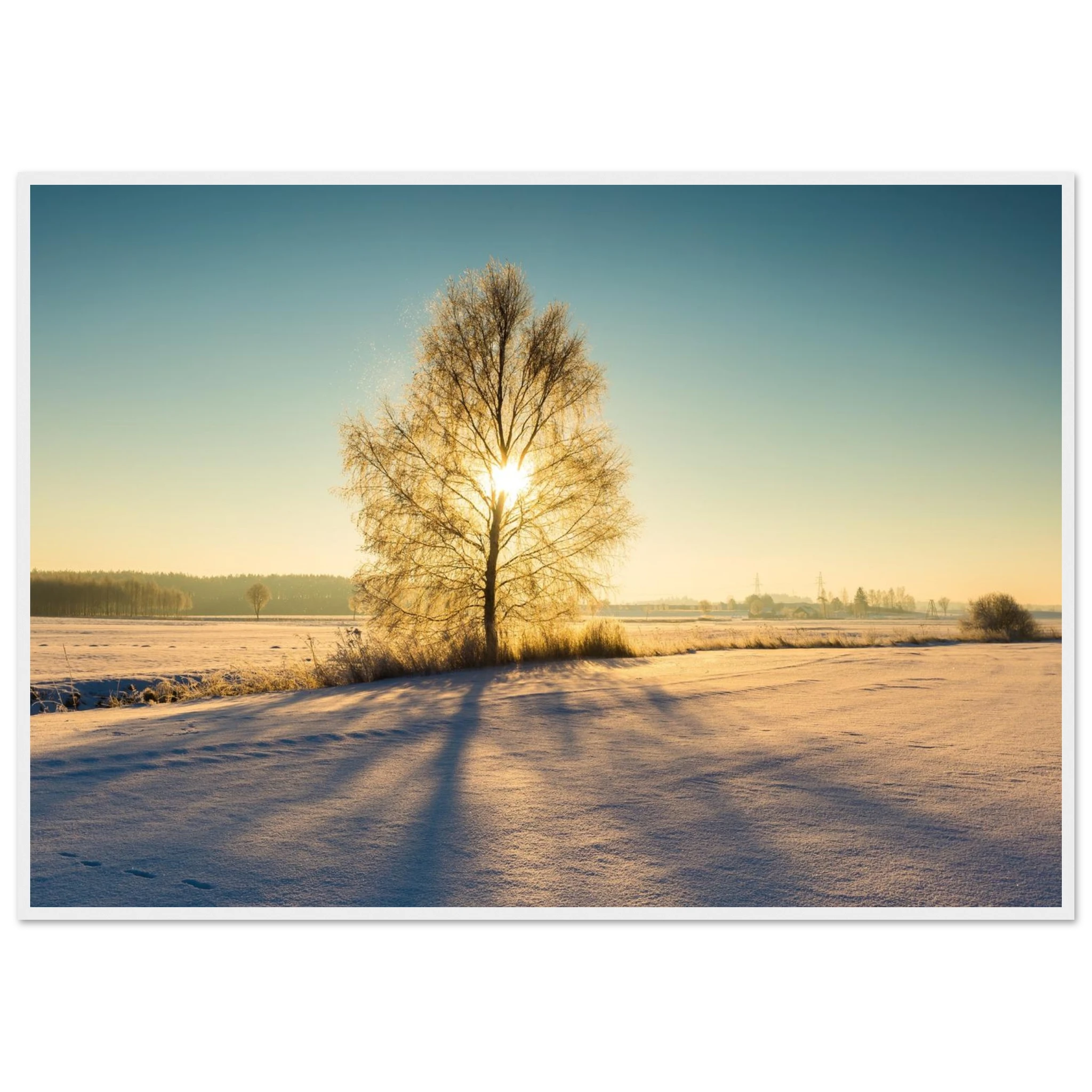 c43cce27-07bc-46ad-830a-e7f32a001df2