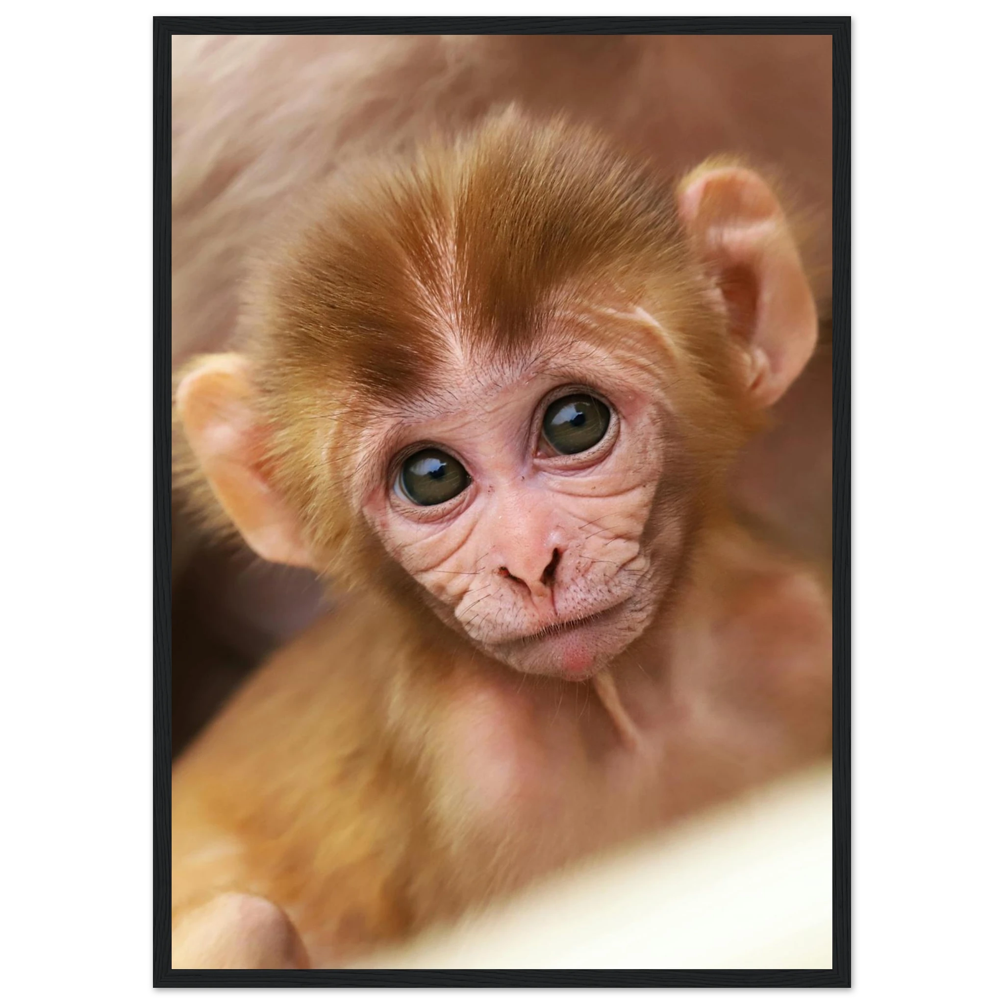 c43de710-a635-42cb-b149-3152db99c240