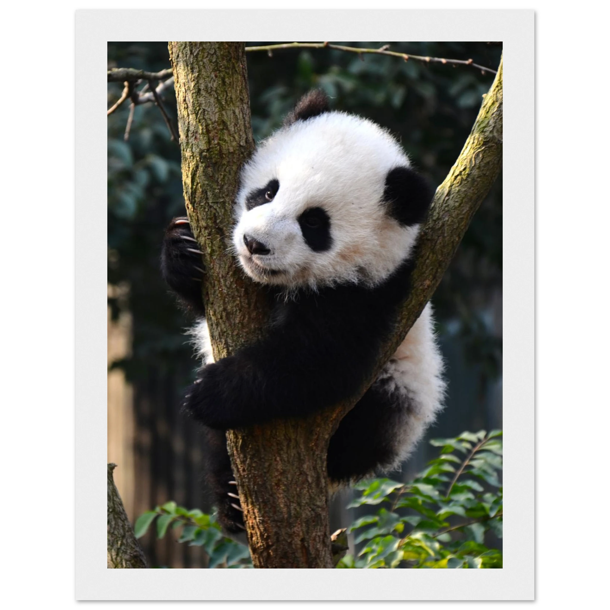 c464f091-86f5-4780-a9e3-fe0a9f8eb065