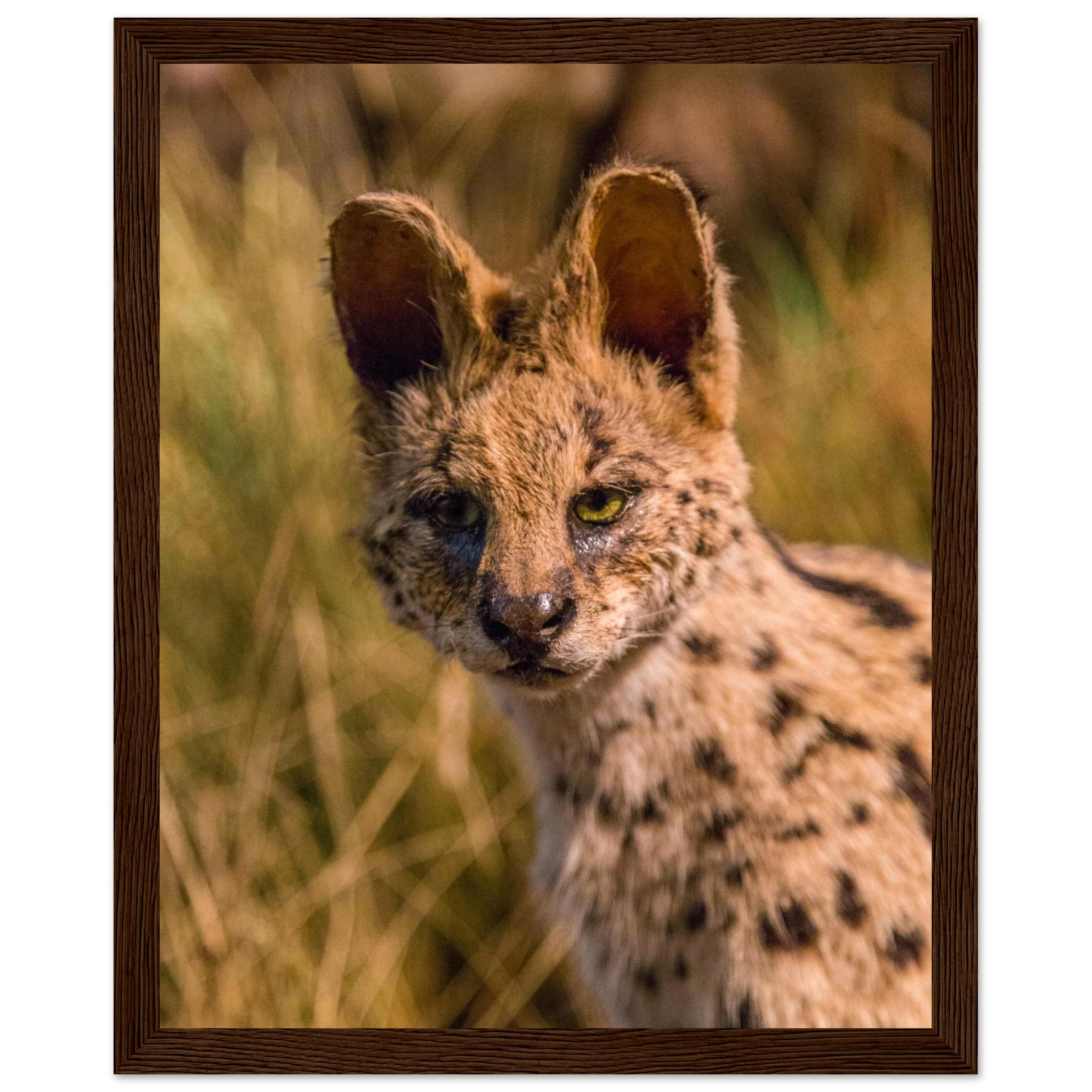 c465f01f-d95e-4722-9d77-27e3f5388b96