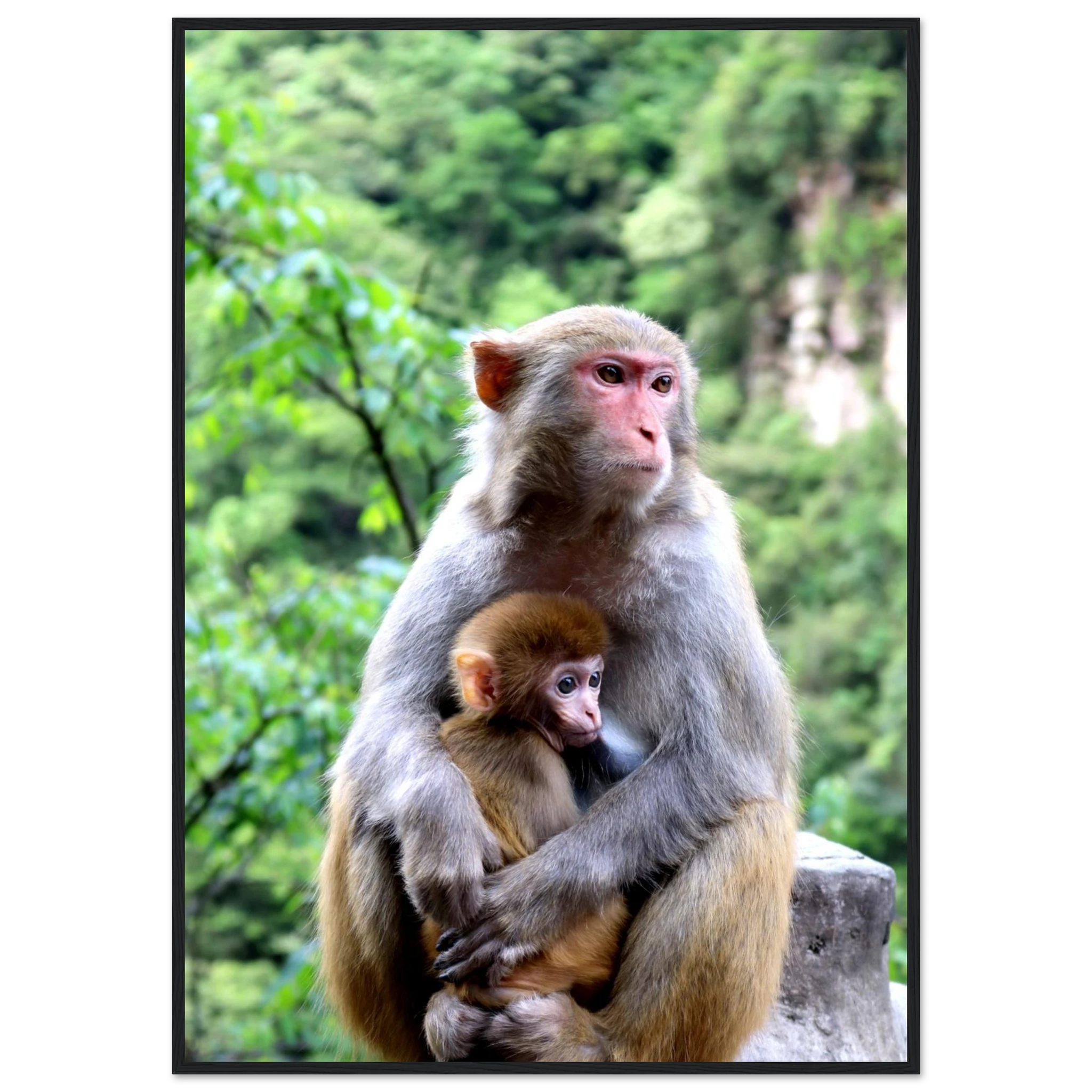 c4880a40-c816-4c56-918d-c7c3f5715edc