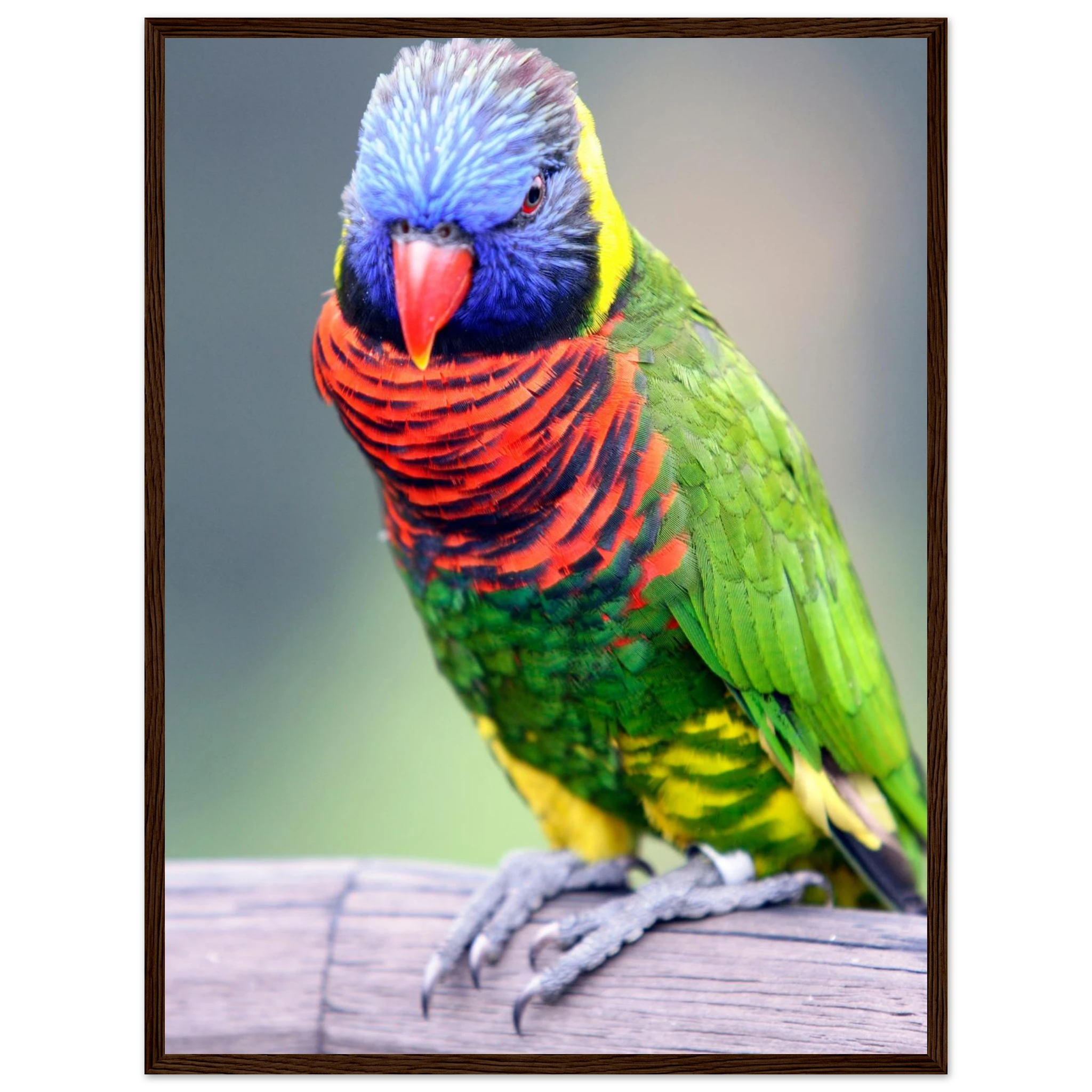 c49e0d91-30ff-47c1-b7d5-635f215ec159