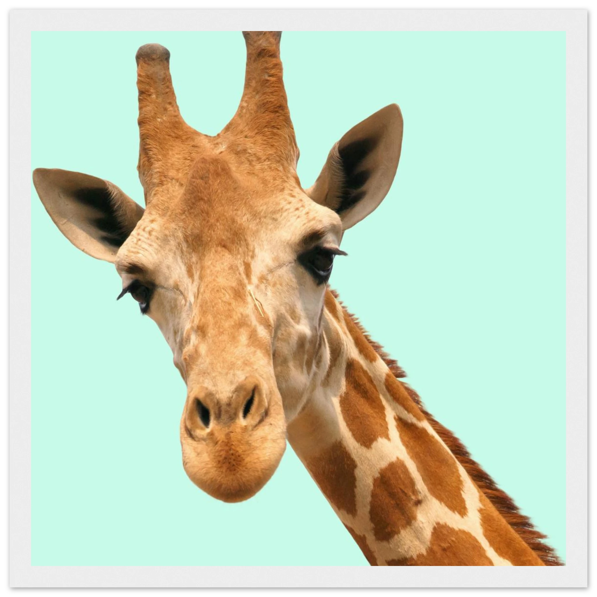 c4a45733-2649-438e-9e8e-9a4be126c07e