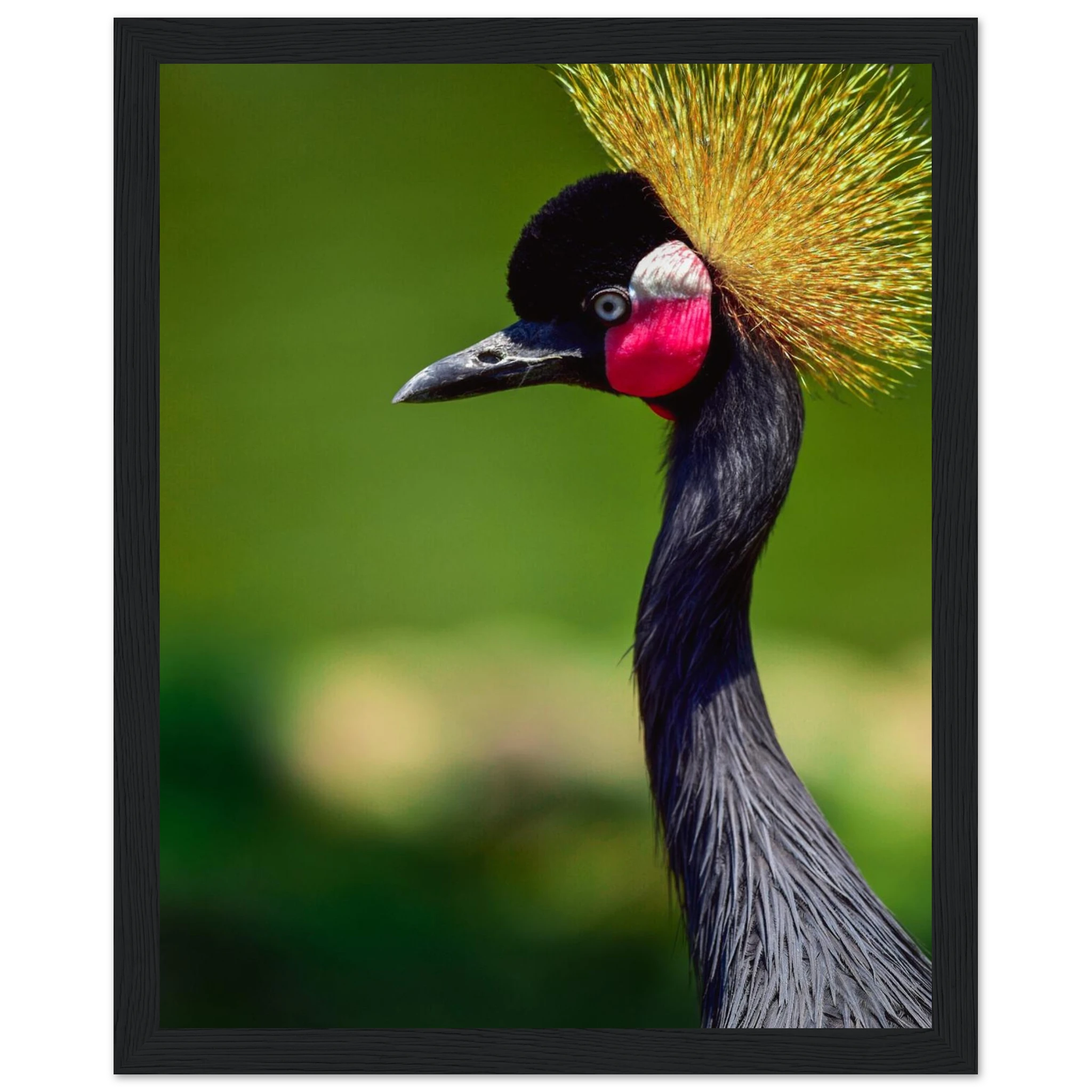 c4b29085-11f1-45a3-bf85-9a7a07a579fc