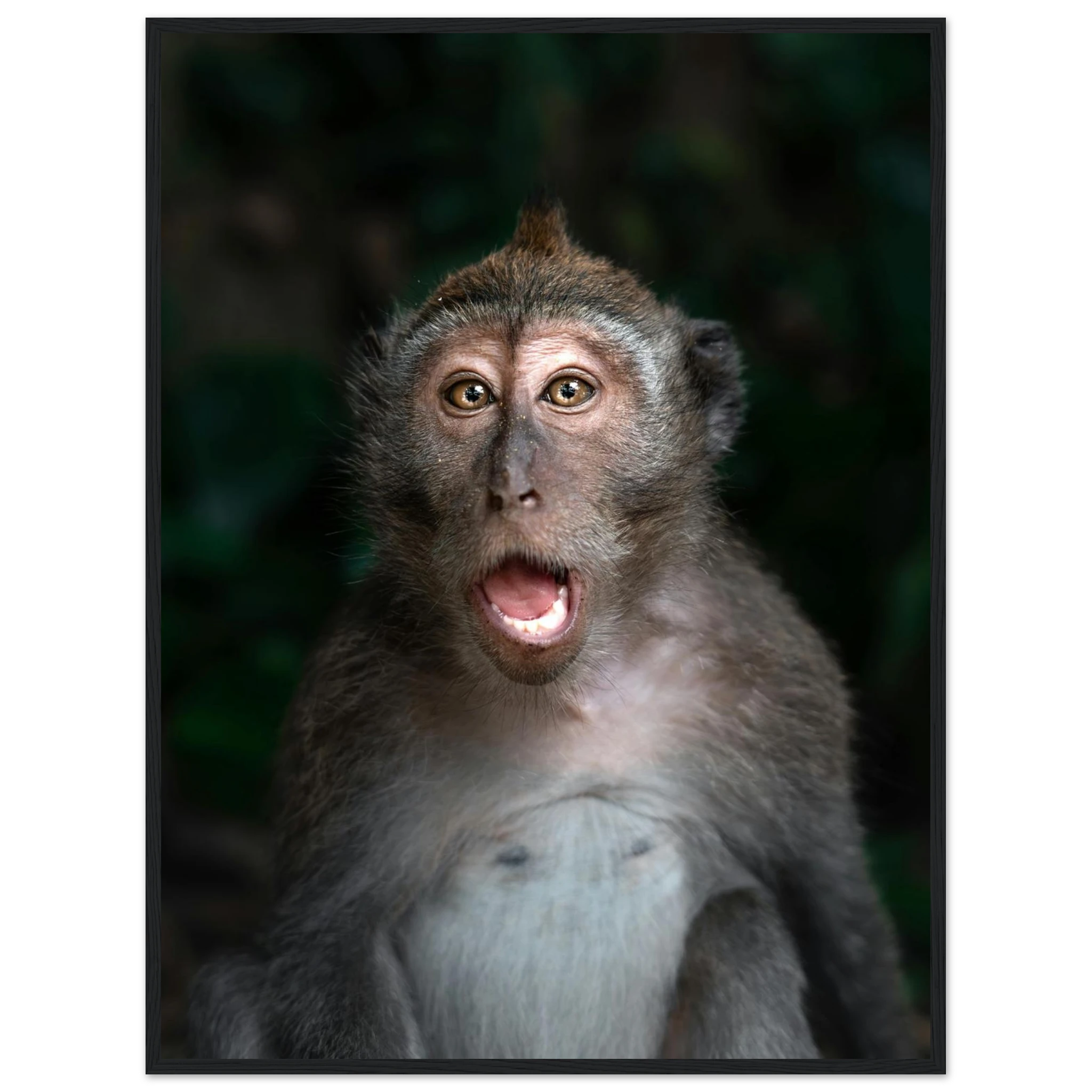 c4d02f30-9484-43d6-907e-3063b2234633