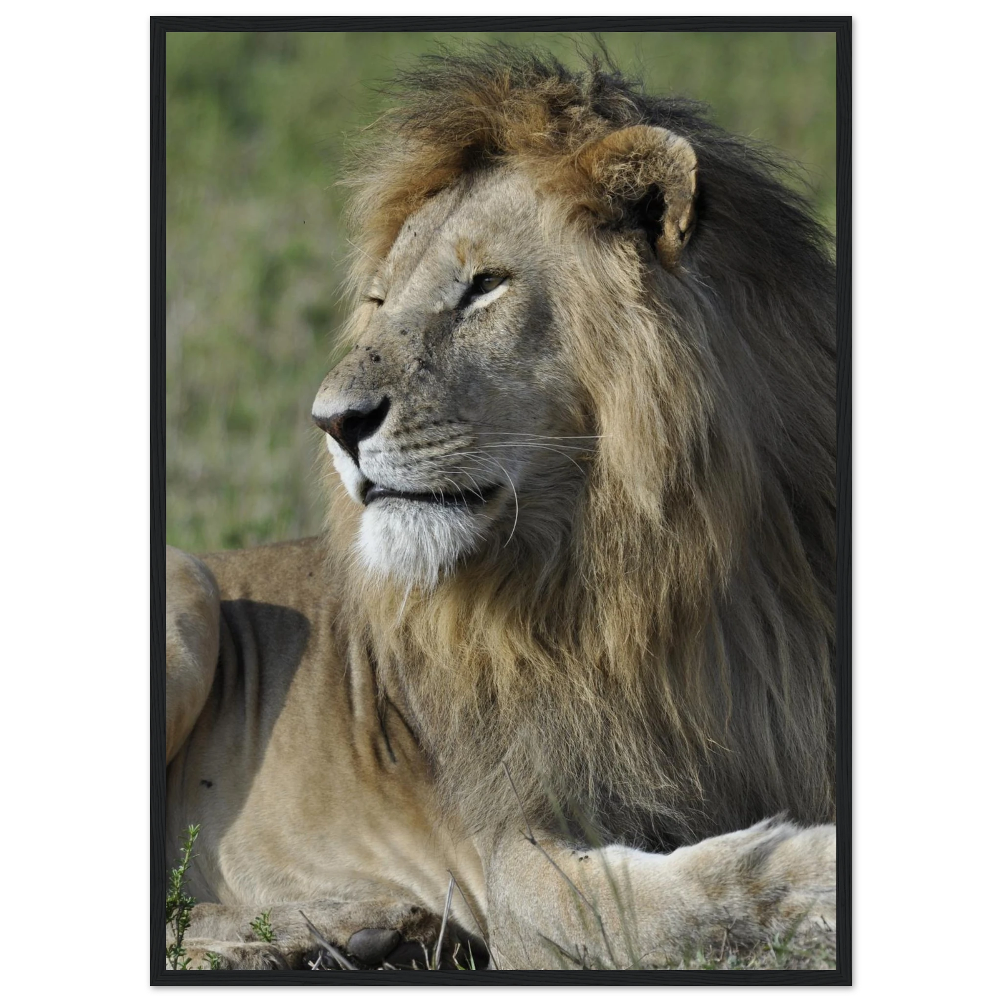 c4e35fd9-8548-4983-a666-2232f9e64aec