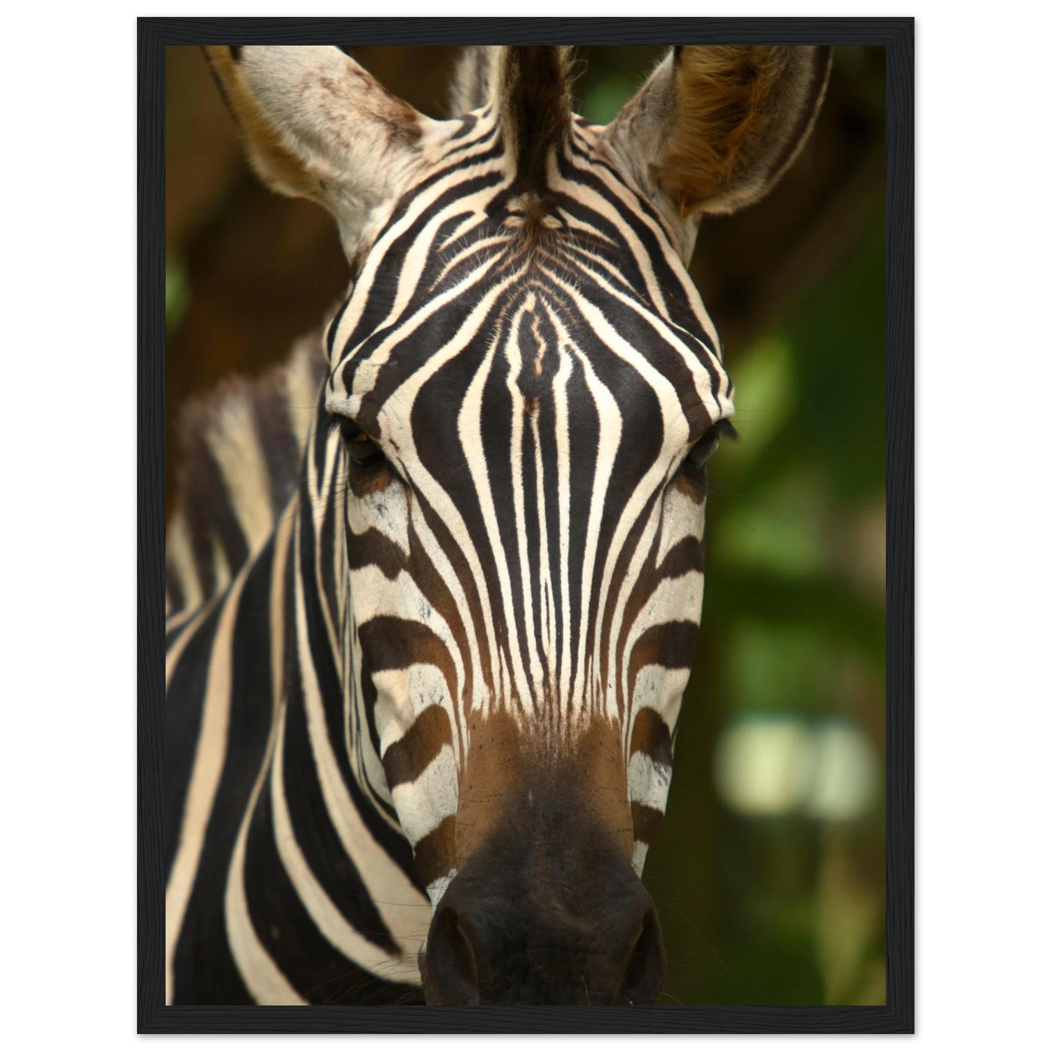 c4e5979e-d3ff-4bc0-8ff7-e26f1580dfdc