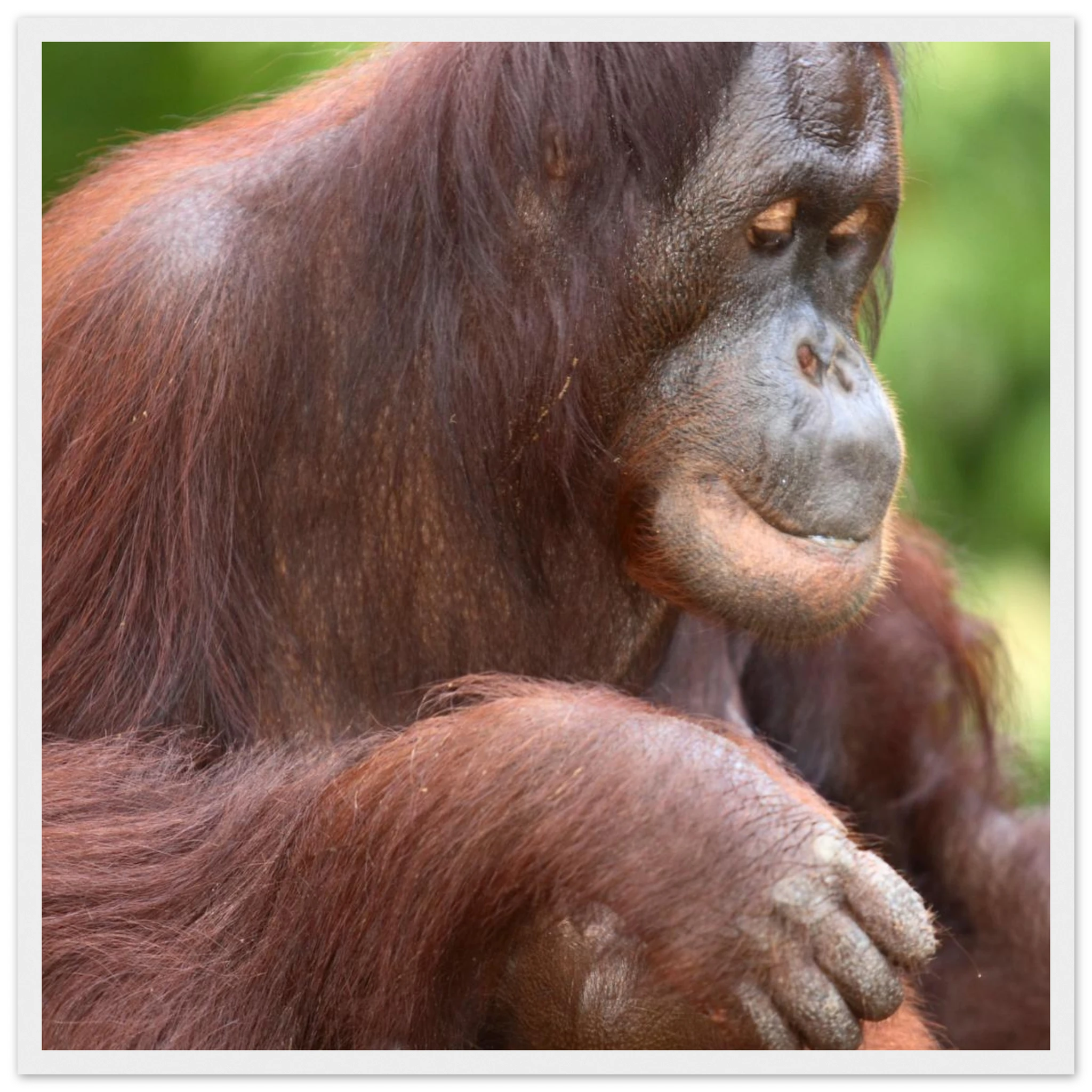 c51f9c27-c16e-4fe0-a51c-891750197c65