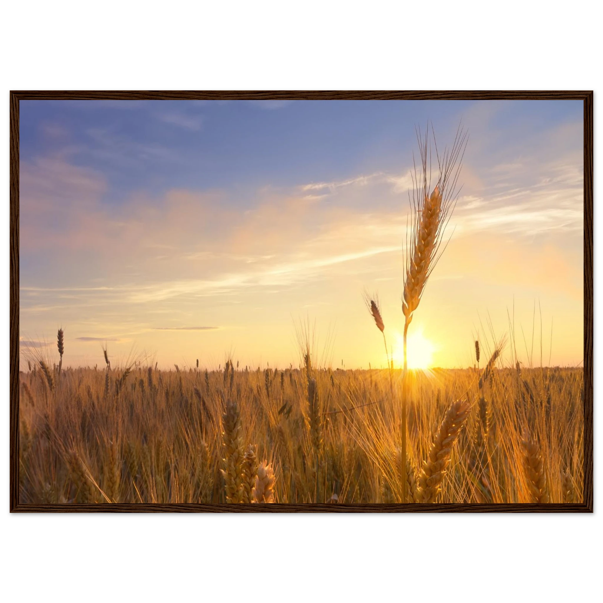 c52cccf1-1223-485c-8bfe-1b8451f3f4ae