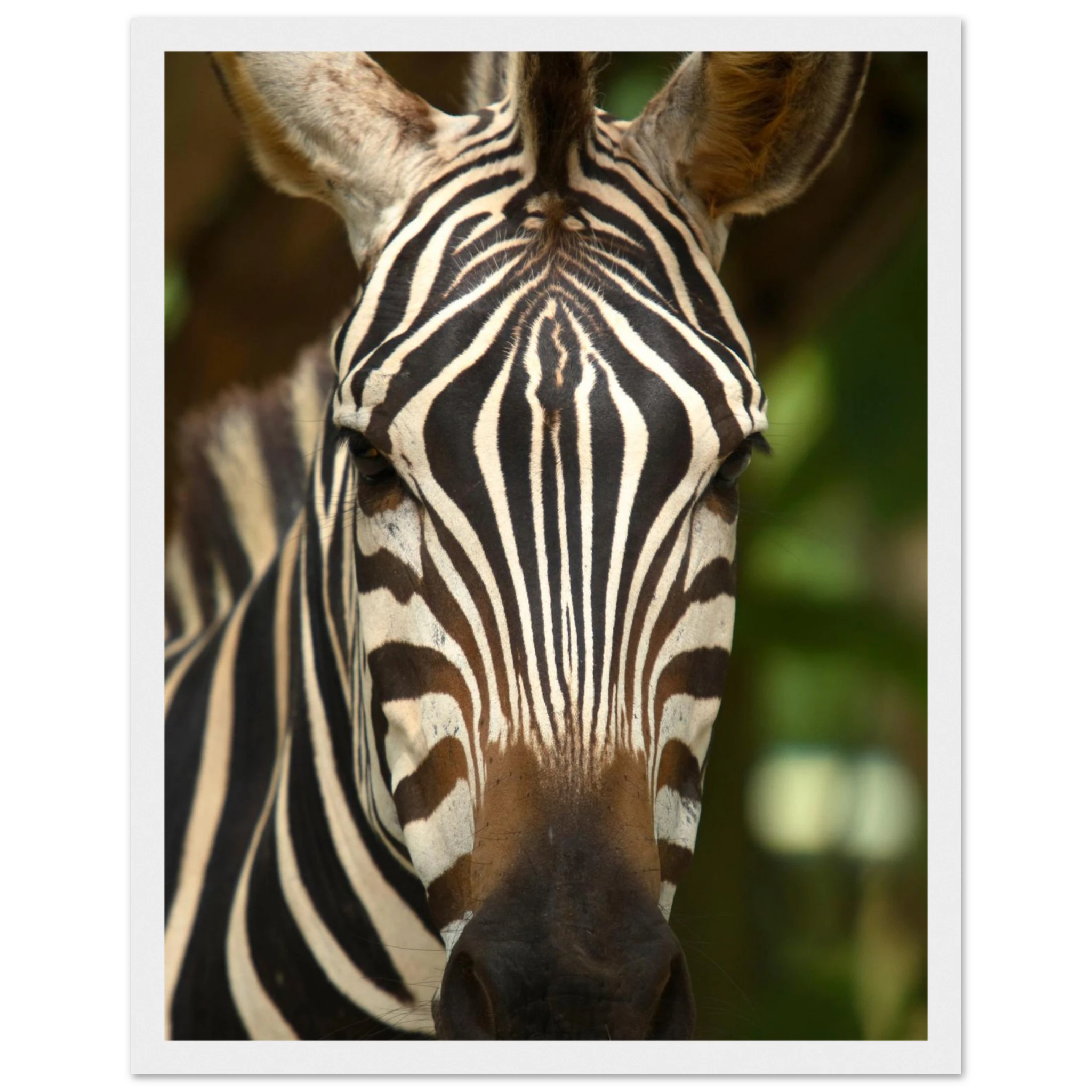 c5331da3-5a68-4c3b-b45f-64dff4e39695