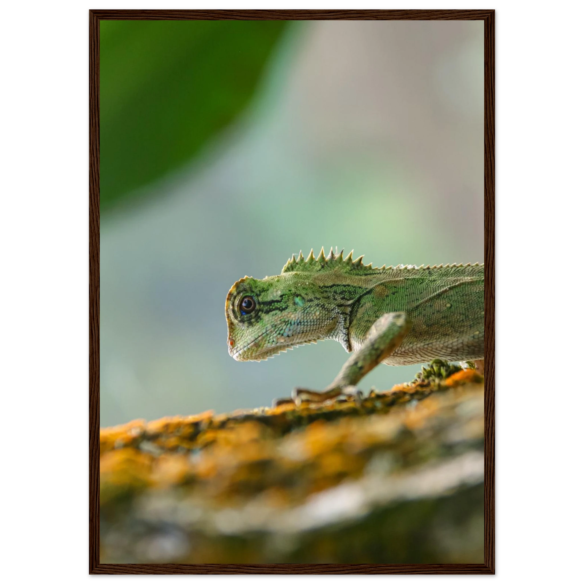 c53f1ef7-d33d-4bad-86f8-1527080d4912