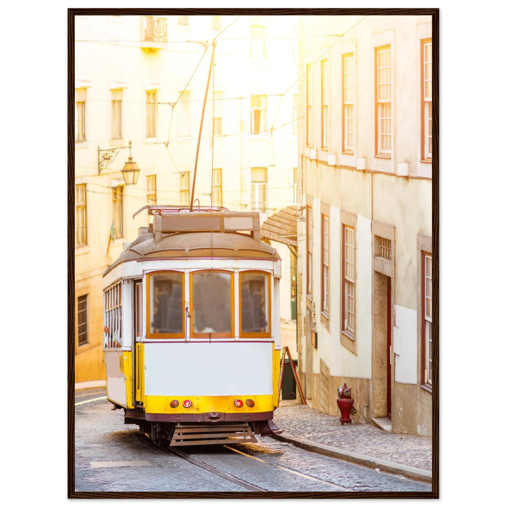 c546c5cc-054f-4f12-98b9-0b5376e4e097