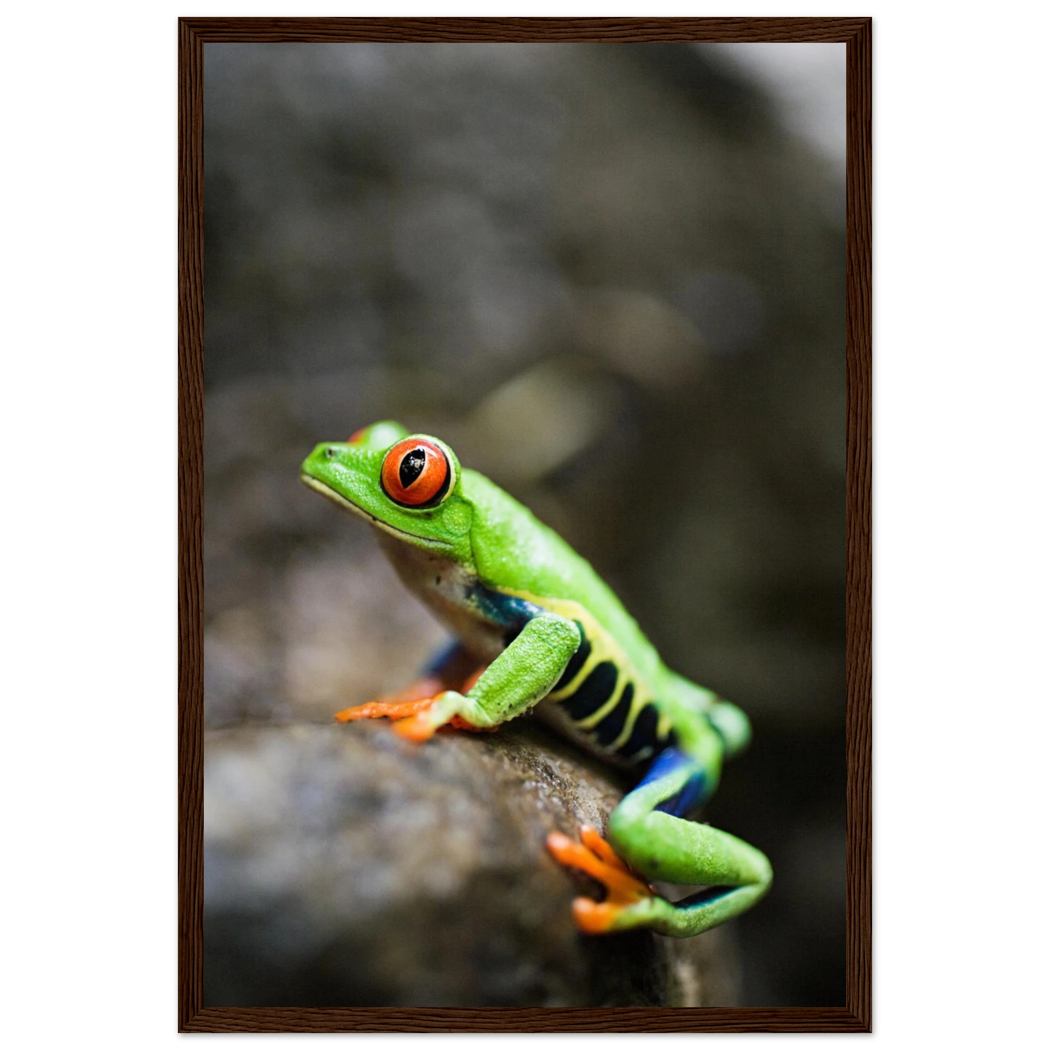 c5532c69-5acd-4809-88a9-75252e2082a4