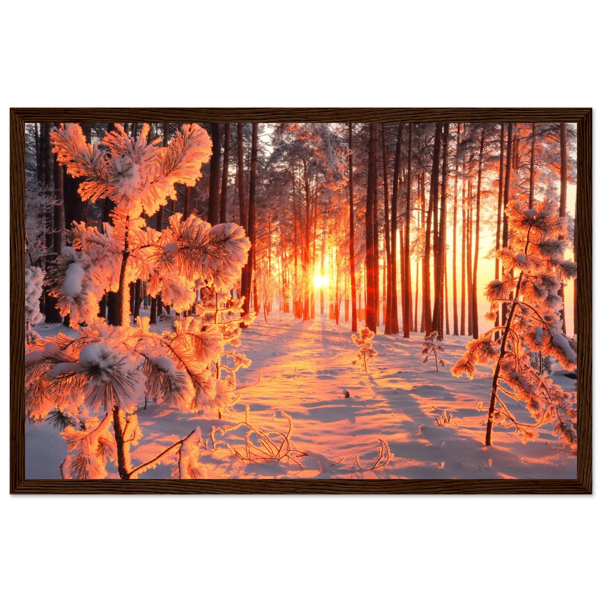 c5572171-5043-4572-a85c-84836007f5f4