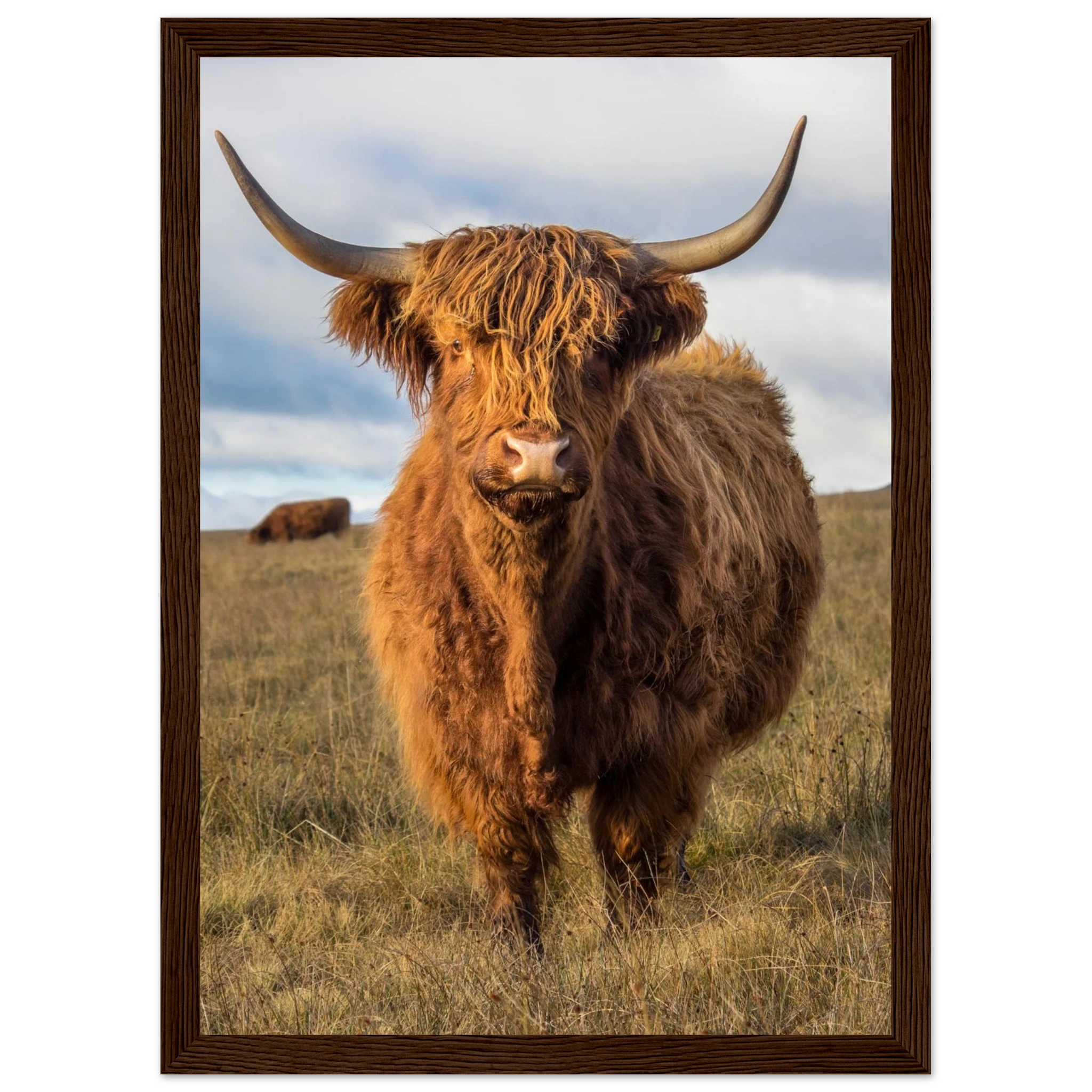 c55d2ce5-be68-4eec-b9ae-9bc8e14c1289