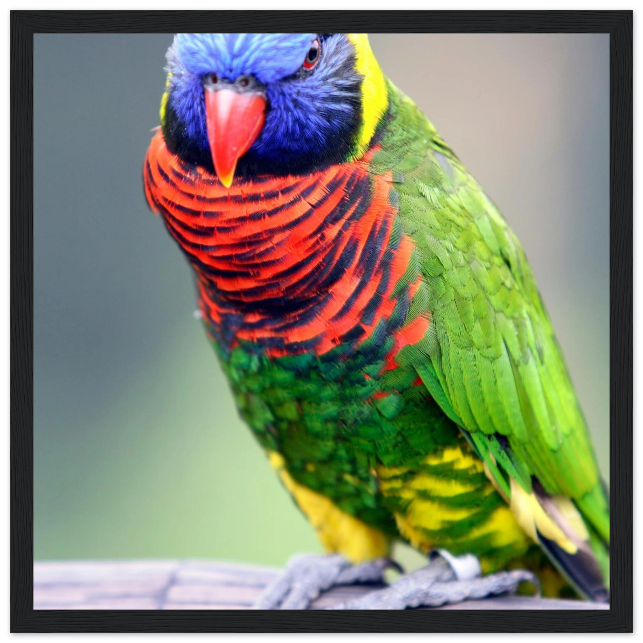 c58a5363-9ef6-4dfc-b31d-7c65ce5c1242