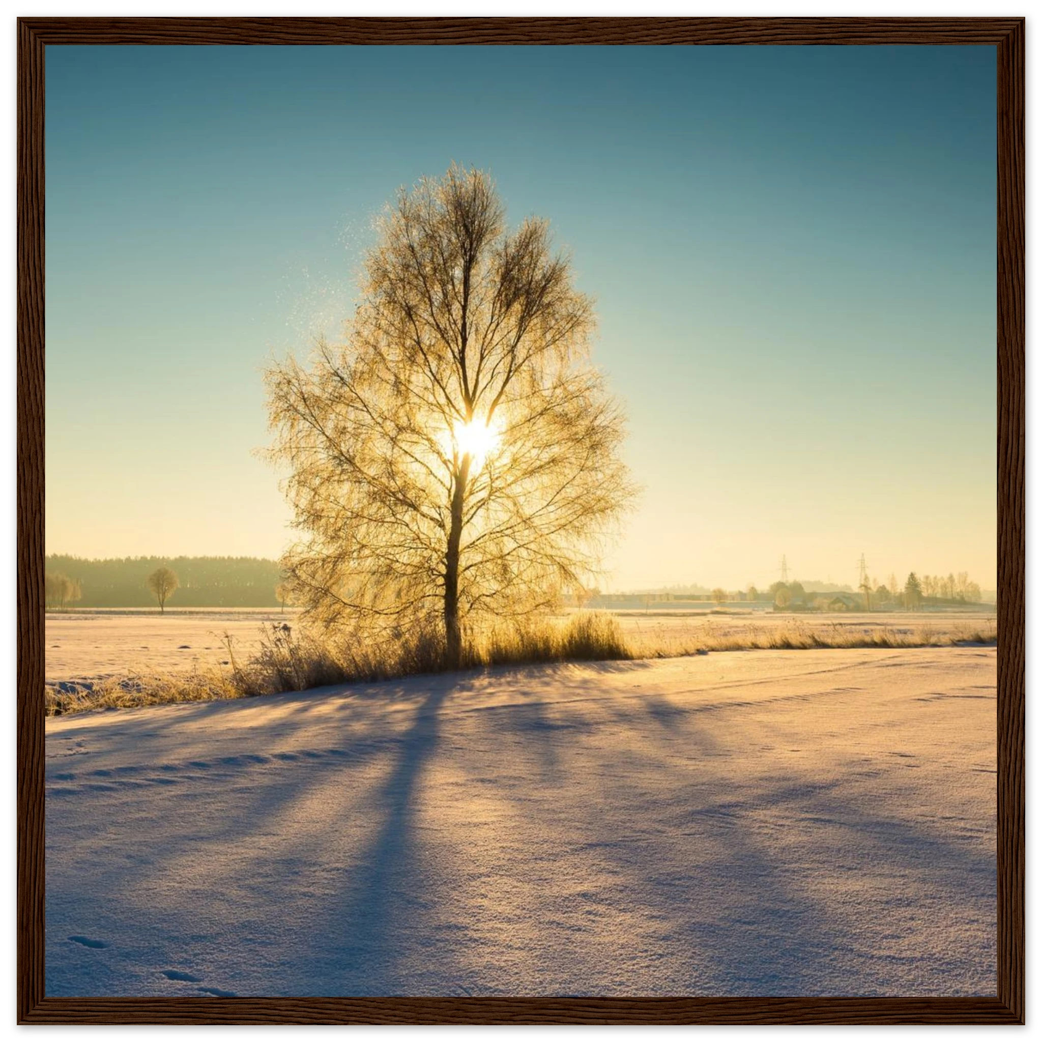 c5b60543-3b7a-4f46-9f90-26da962b5910