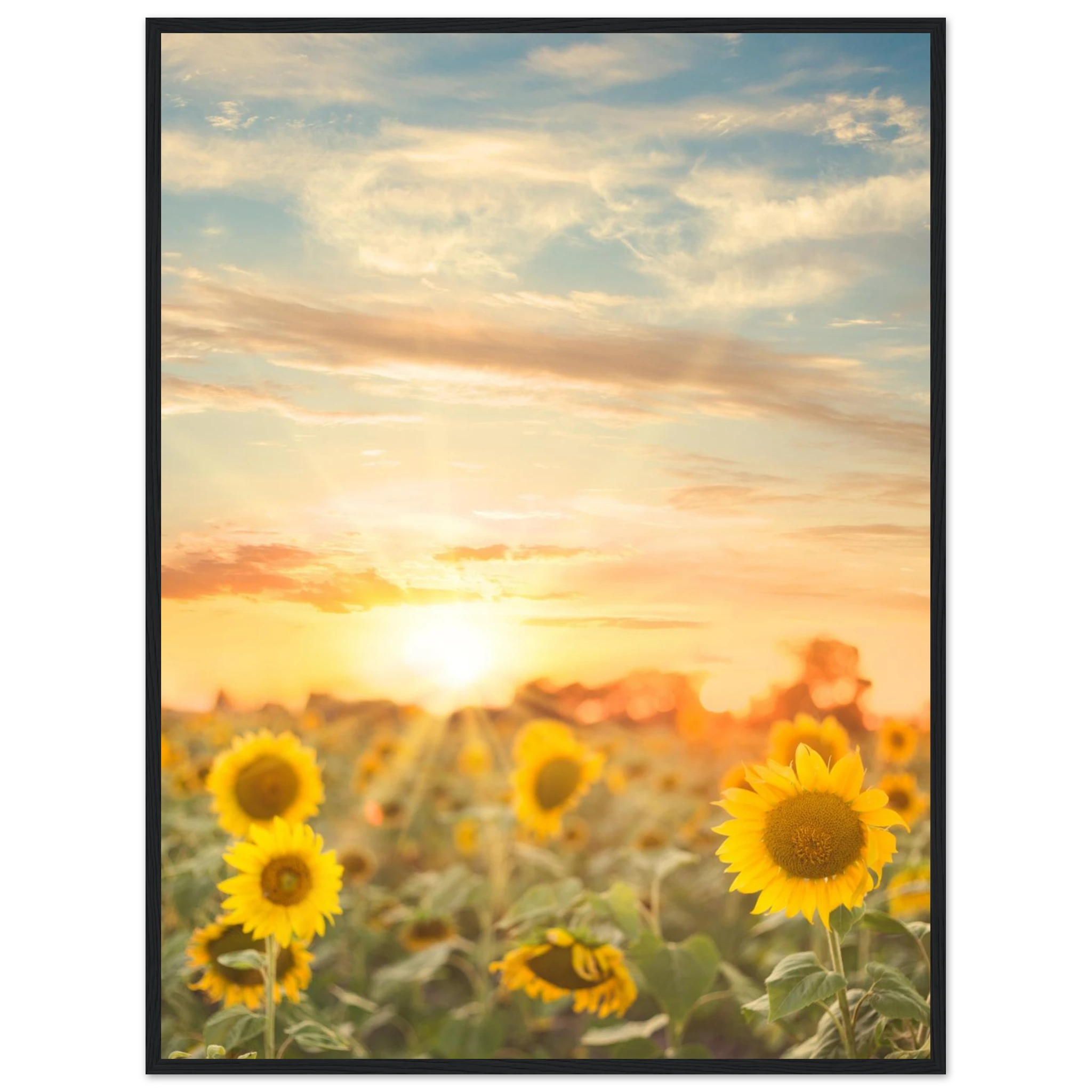 c5d47fe3-384b-4e64-8ba8-61af5b49f0fb