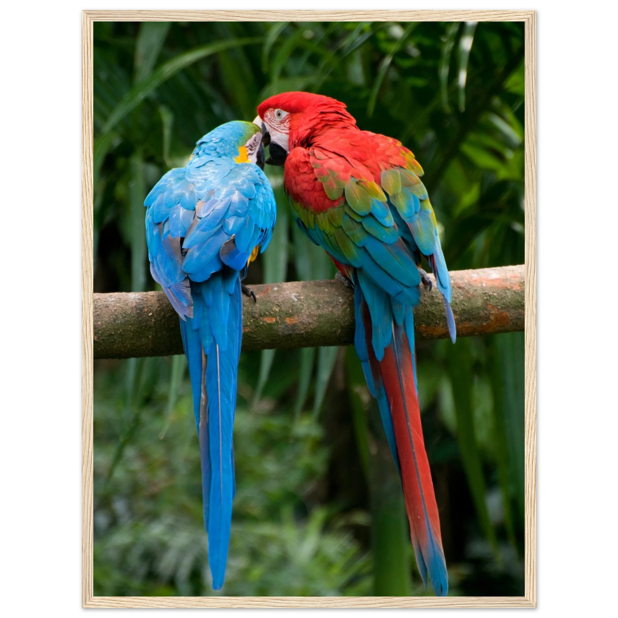 c5d8e65b-dcc7-472d-853e-328ed80d6e6b