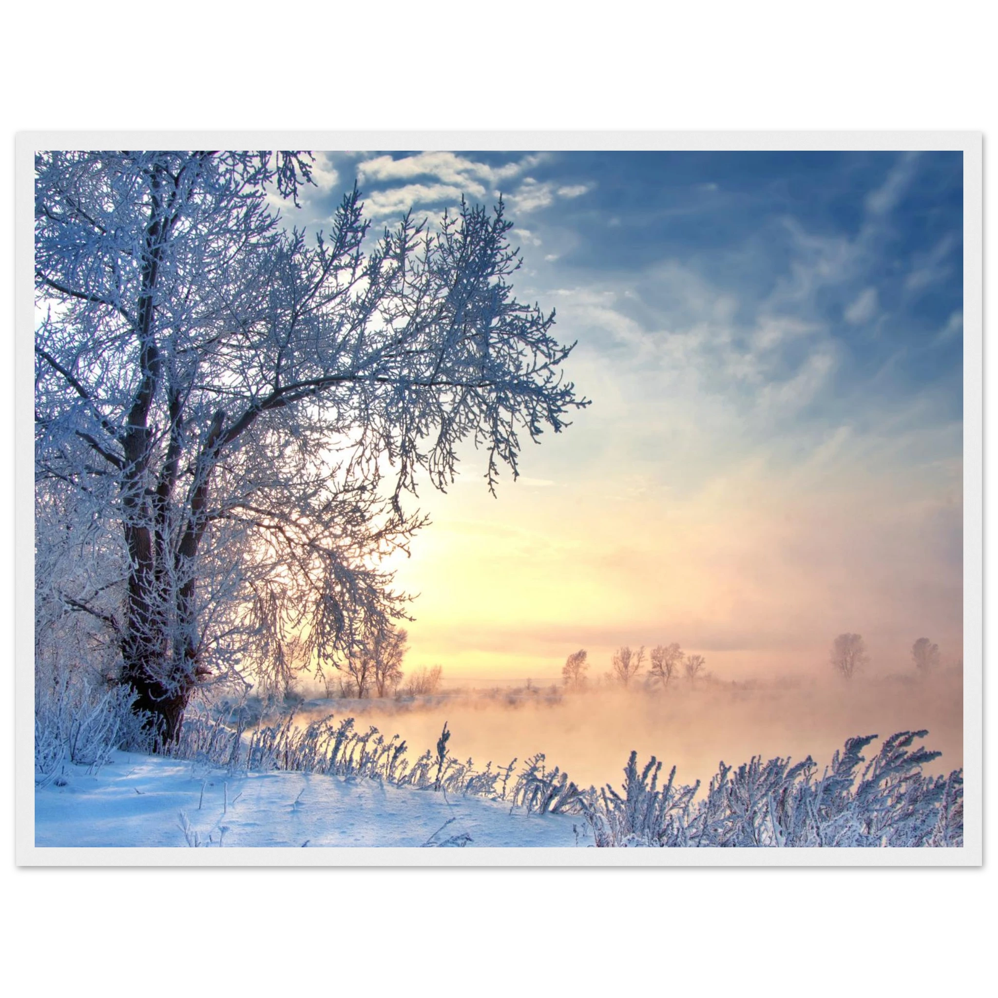 c62e90e8-2d60-44a8-8795-bf88d947c153