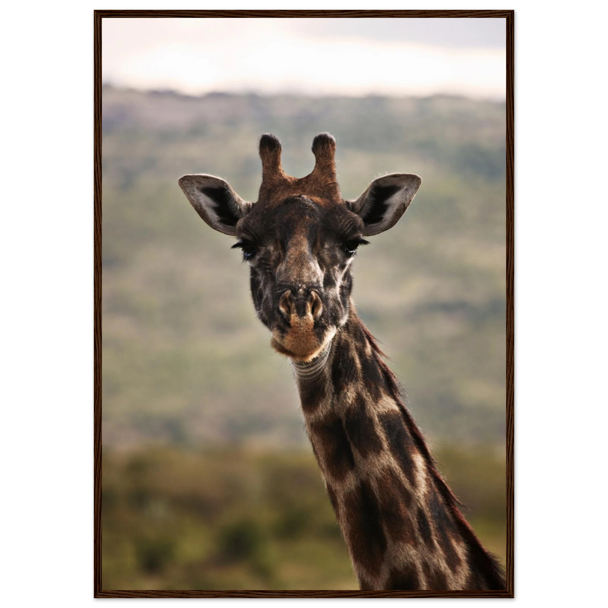 c636e200-4d68-4fed-80a8-f384eed4002e