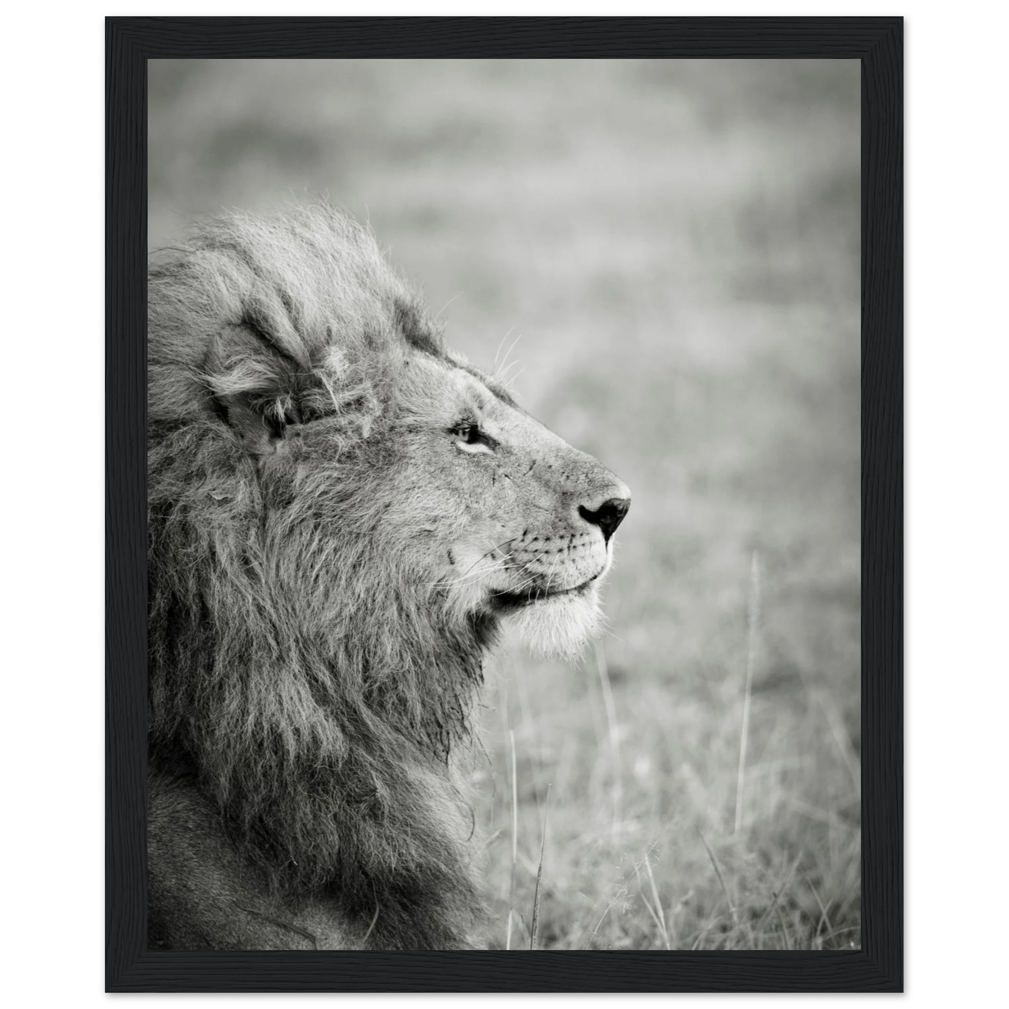 c63aa83d-e924-4f55-8ff2-eeb3e275b9dc