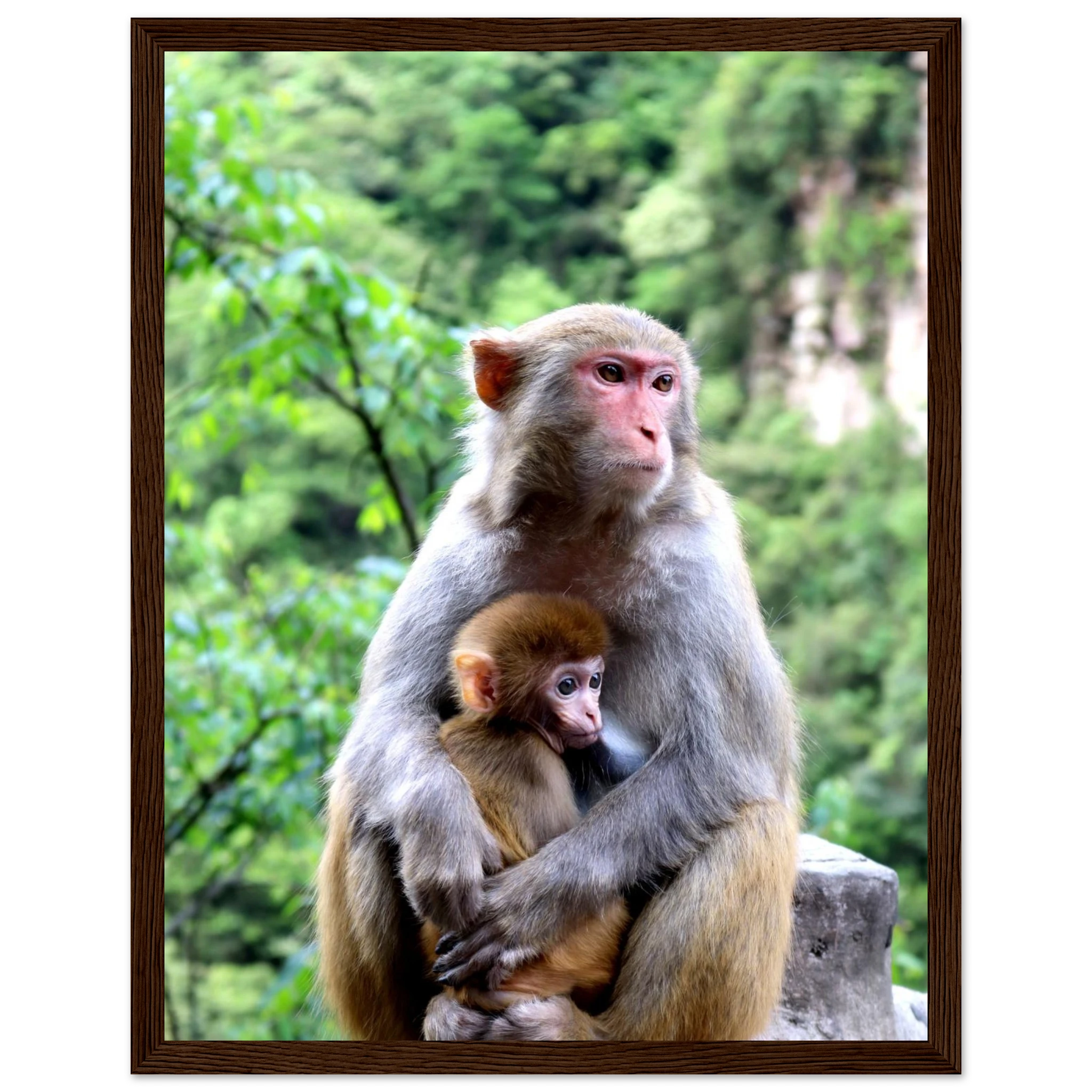 c6a42536-9cc4-44d7-80dc-a6fc343975f2