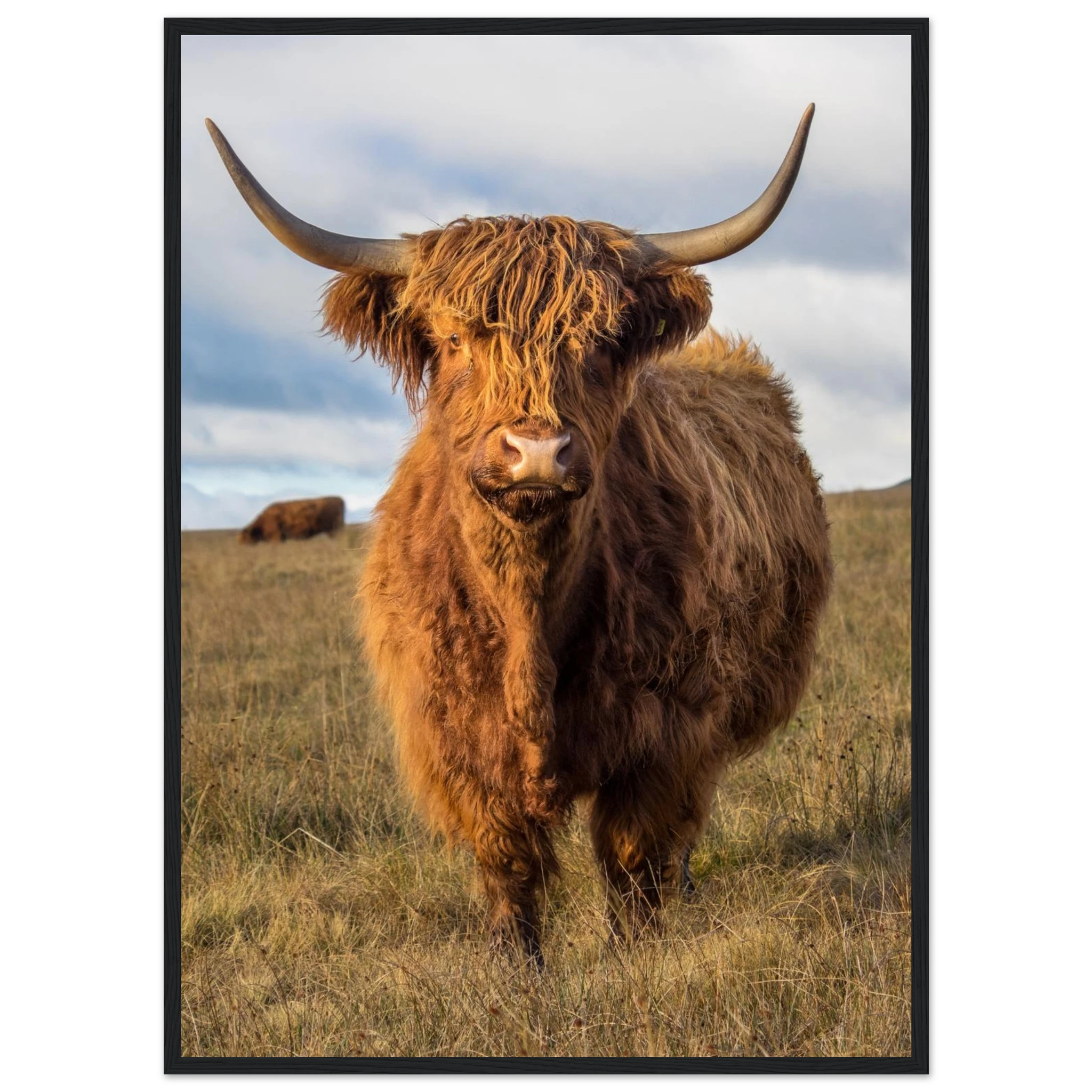 c6b6afe7-48b9-4c32-be37-0ca9f28fe9d8