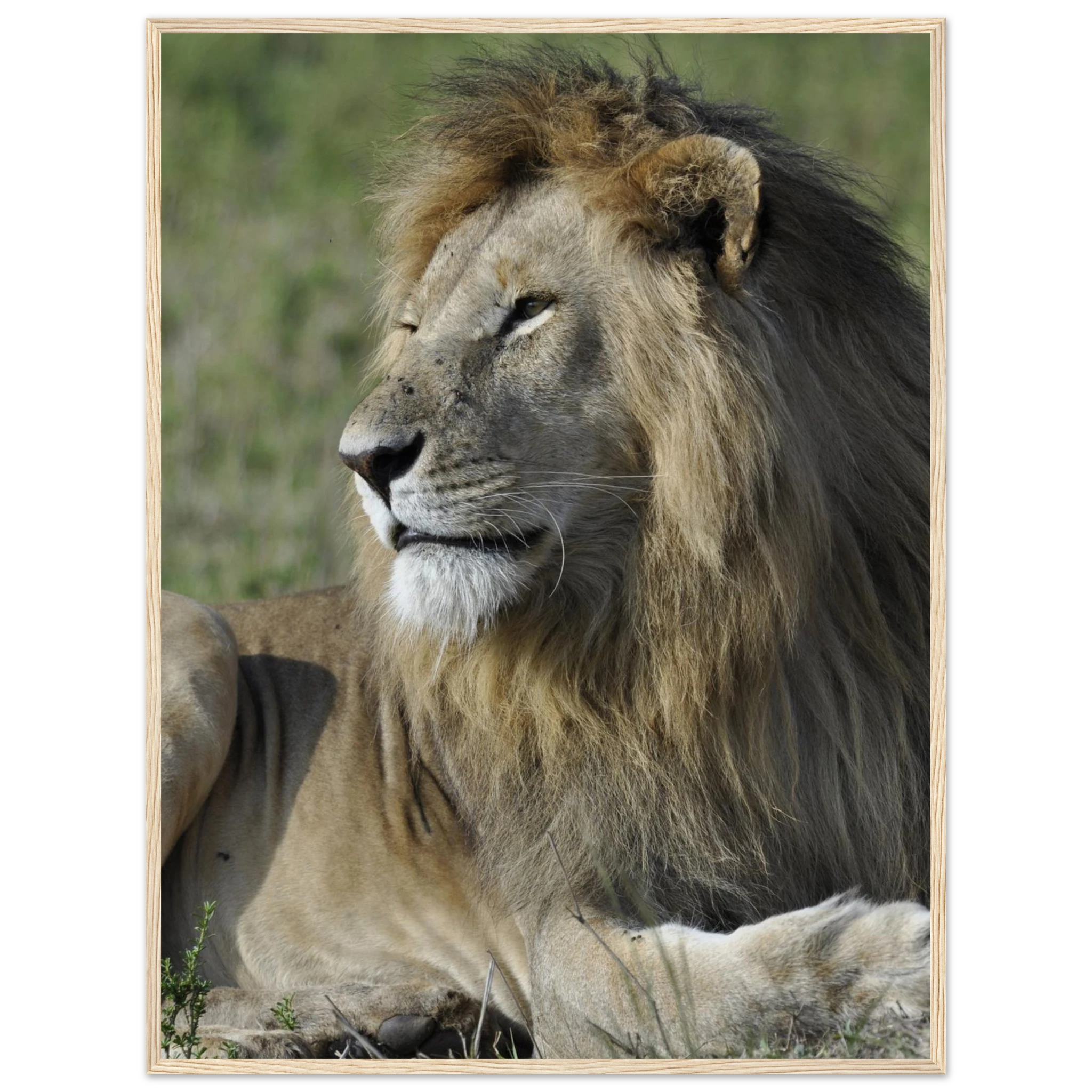 c6c8b773-2f7a-4096-b40c-d0dba7d36870