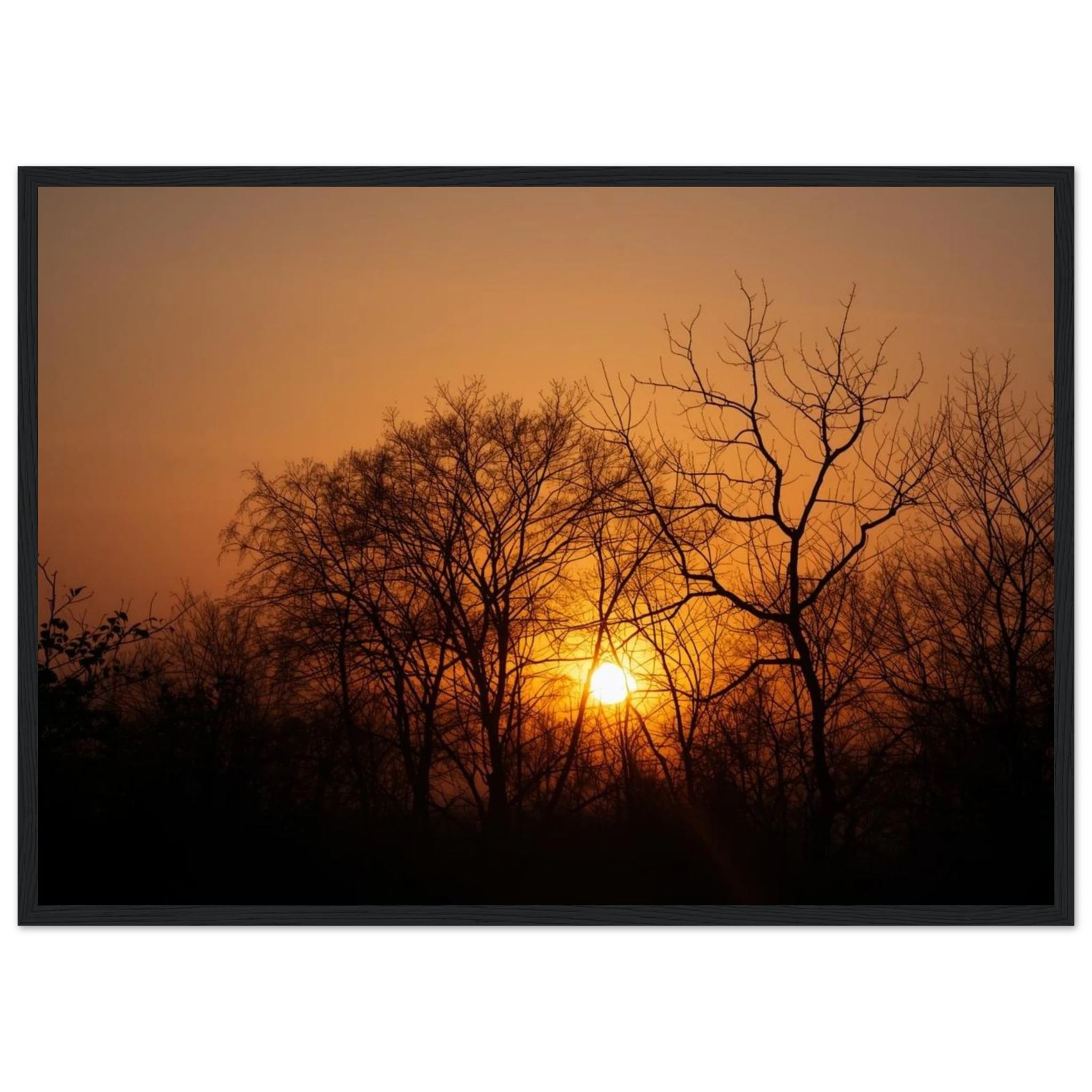 c6ca3647-5f25-48ad-8ccb-56d10d2bac89