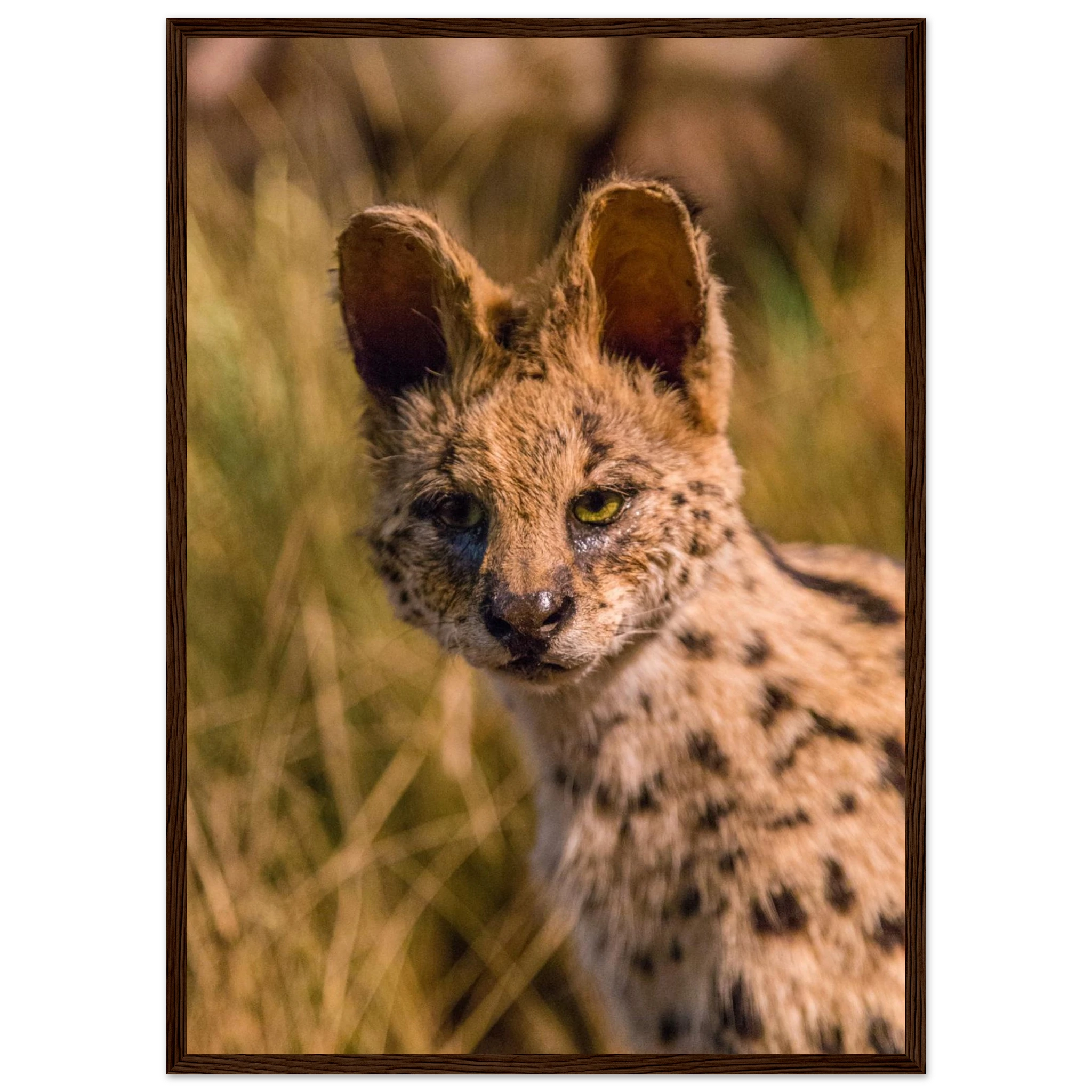 c6cbe8c2-400c-435e-8561-8a083160e0b9