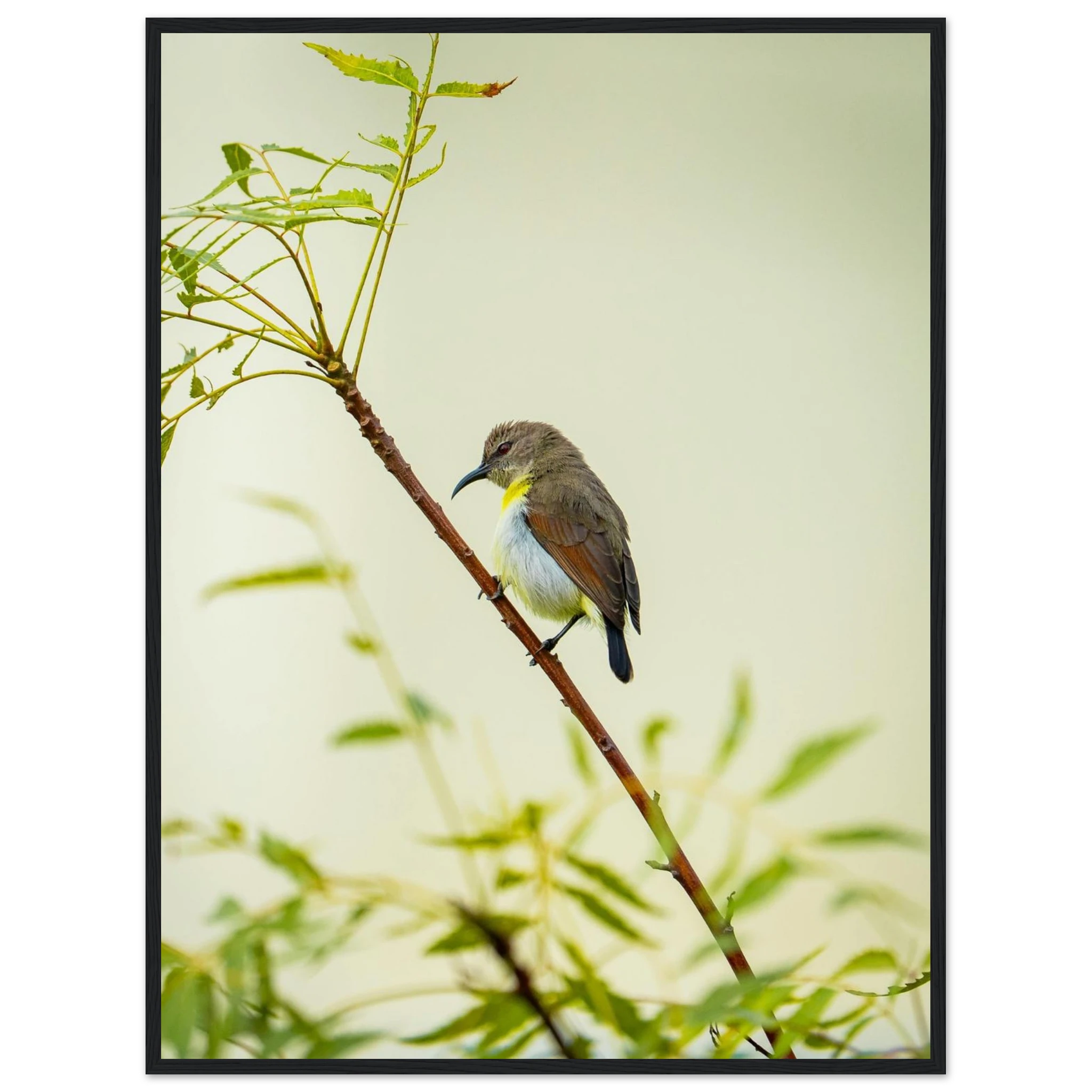 c6f1cf7e-c926-4da9-94e8-2d92dd829ada