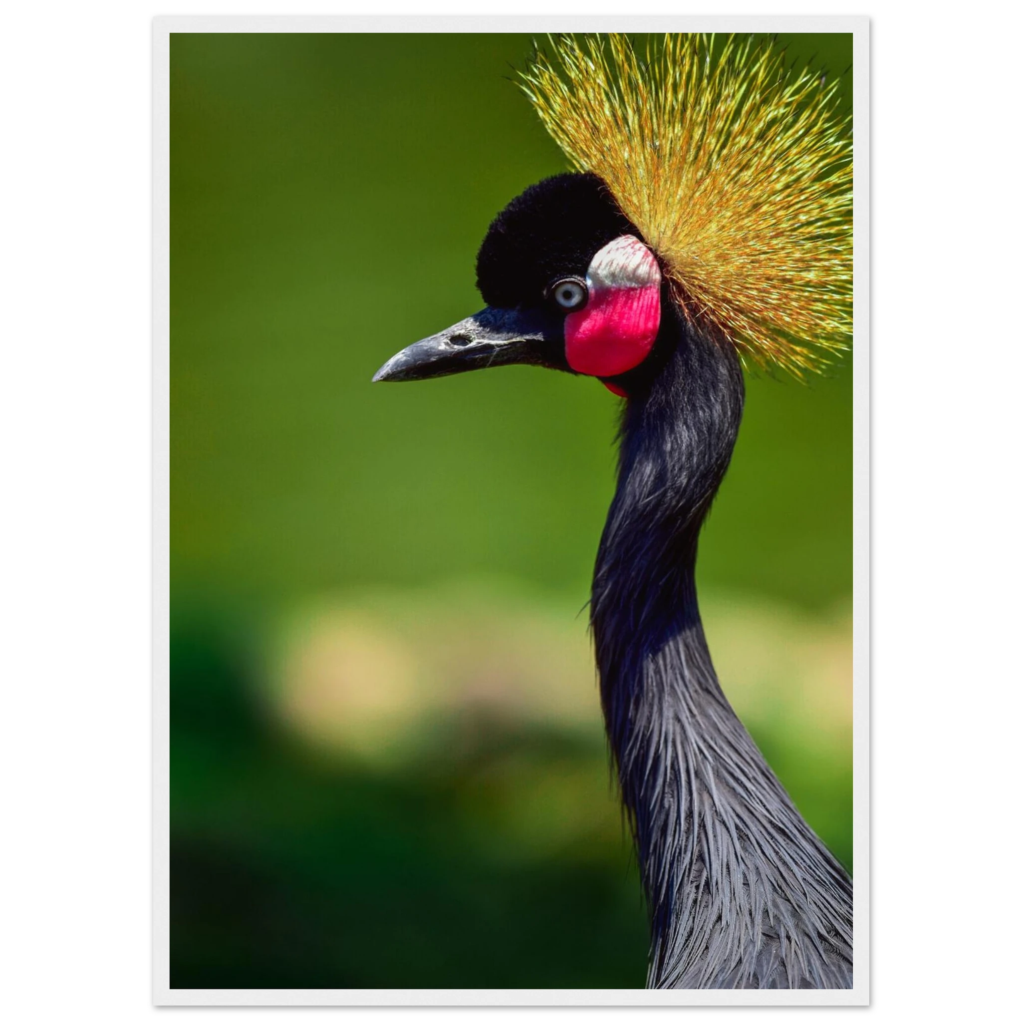 c71a046b-af36-4d6f-b71b-42bebb4b0c4f