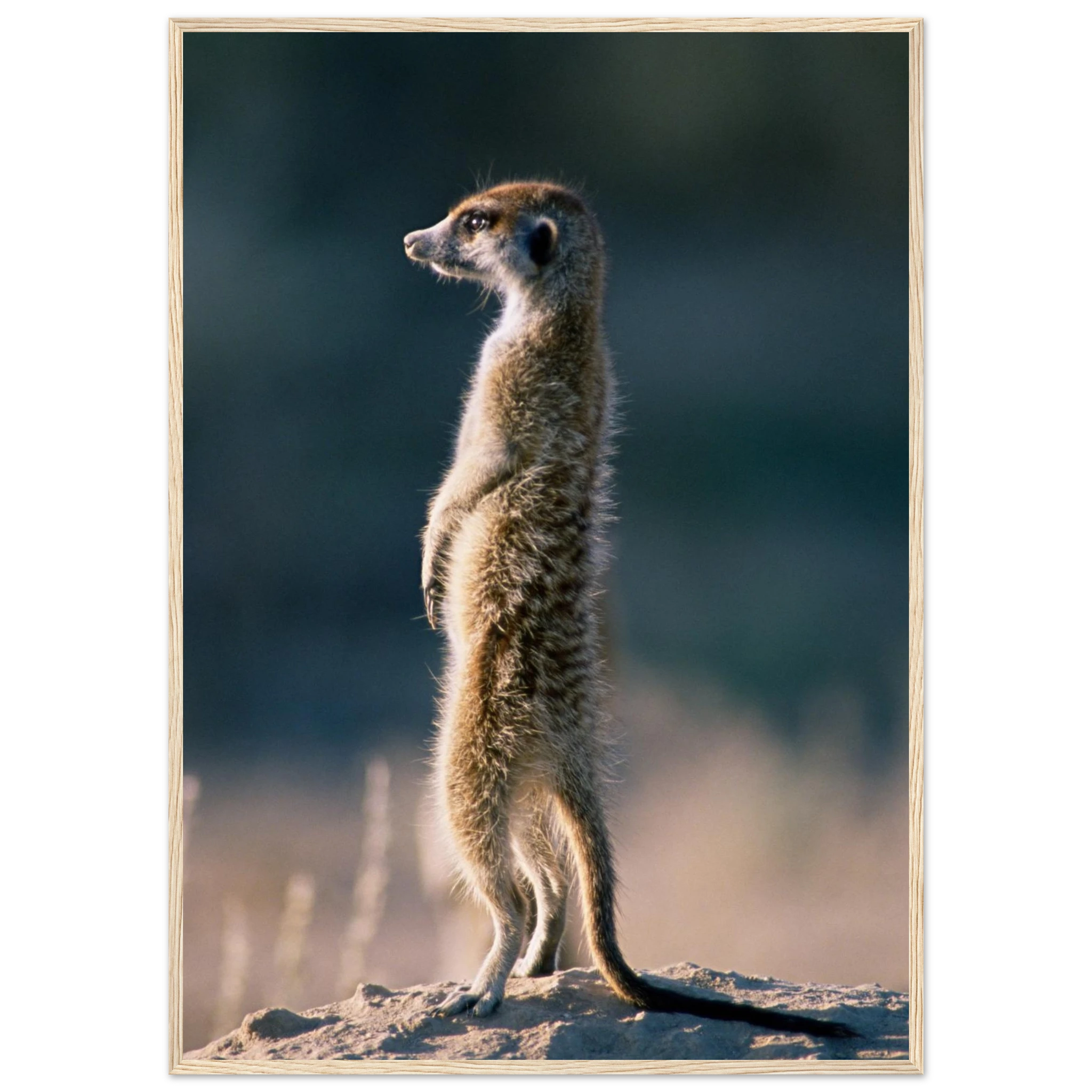 c73793ea-d8f9-43a8-938e-00f951c145b5