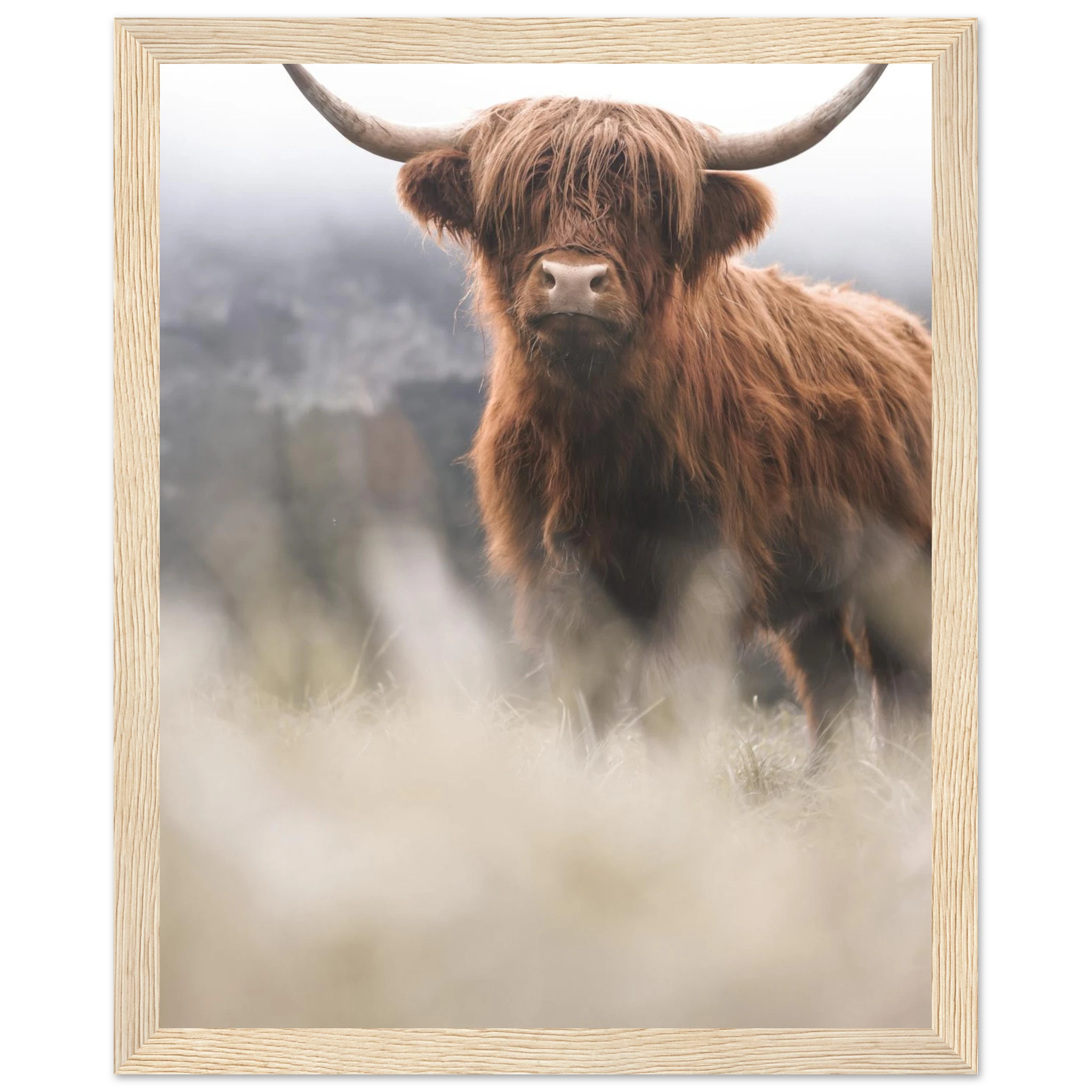 c73f33f6-00a0-4b05-847d-5015cb602b56