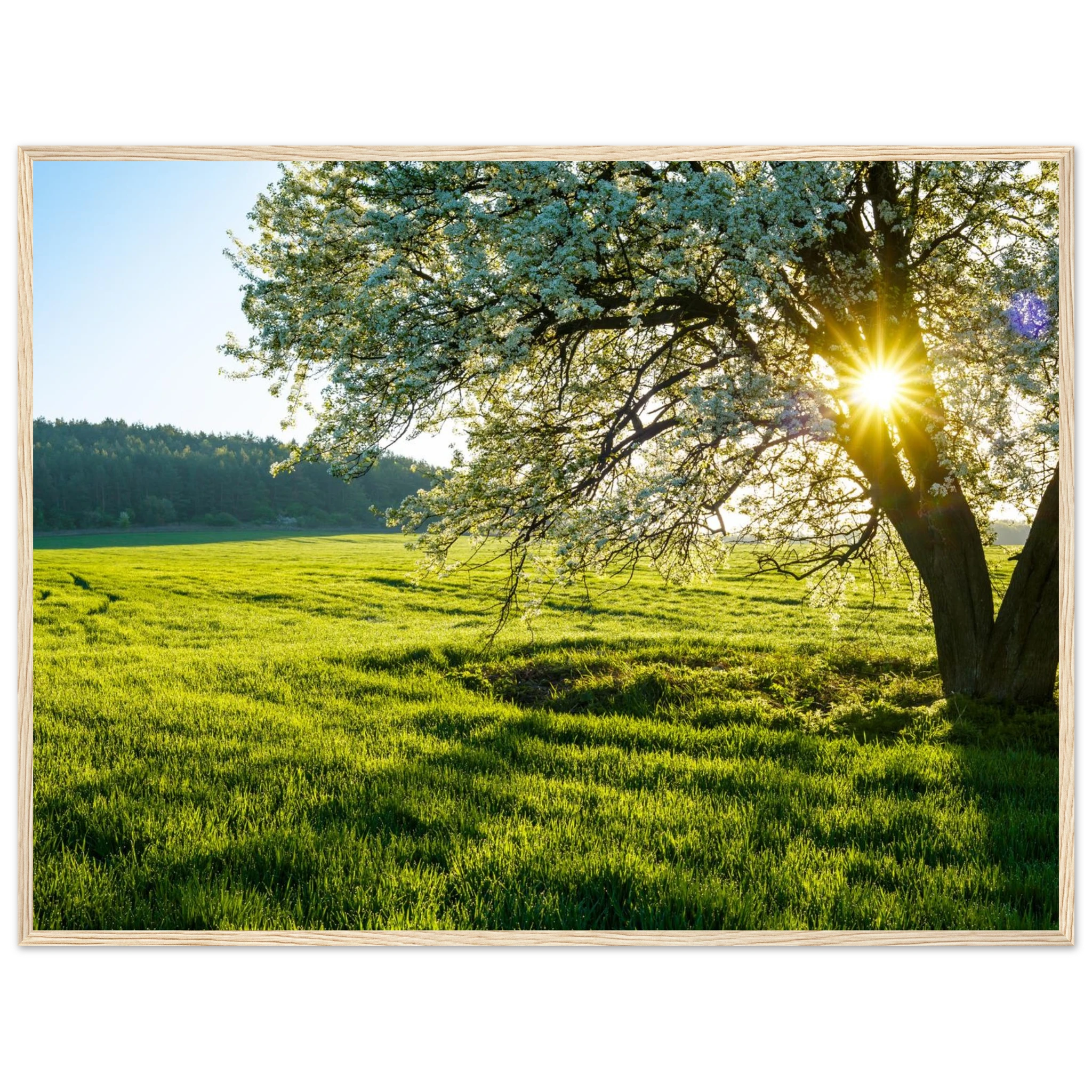 c753c284-a1d4-4442-8e33-7ed48f664ad9