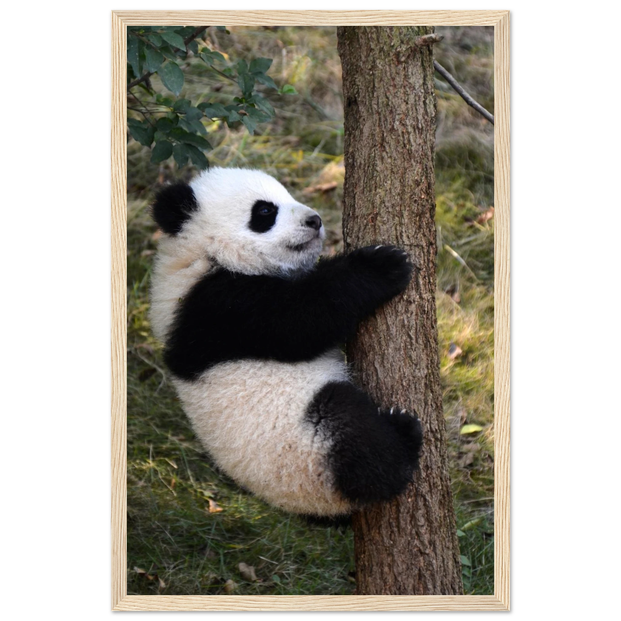 c75415af-4695-4a92-800b-d78fe3e35778