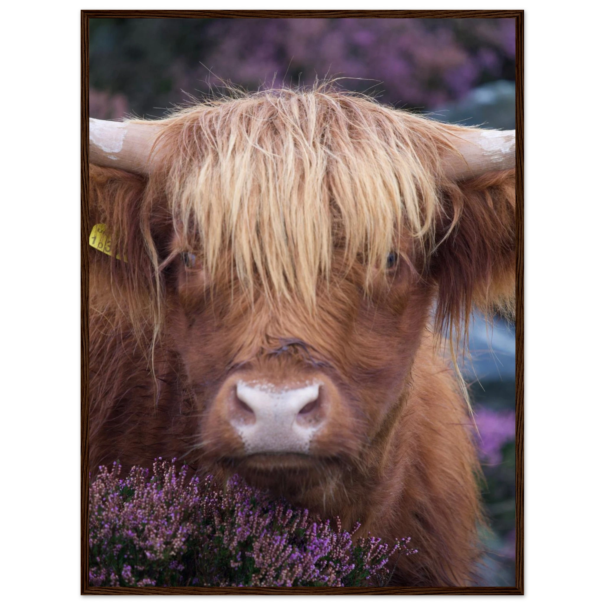 c758499d-9237-45d3-81f3-990f8bf31323