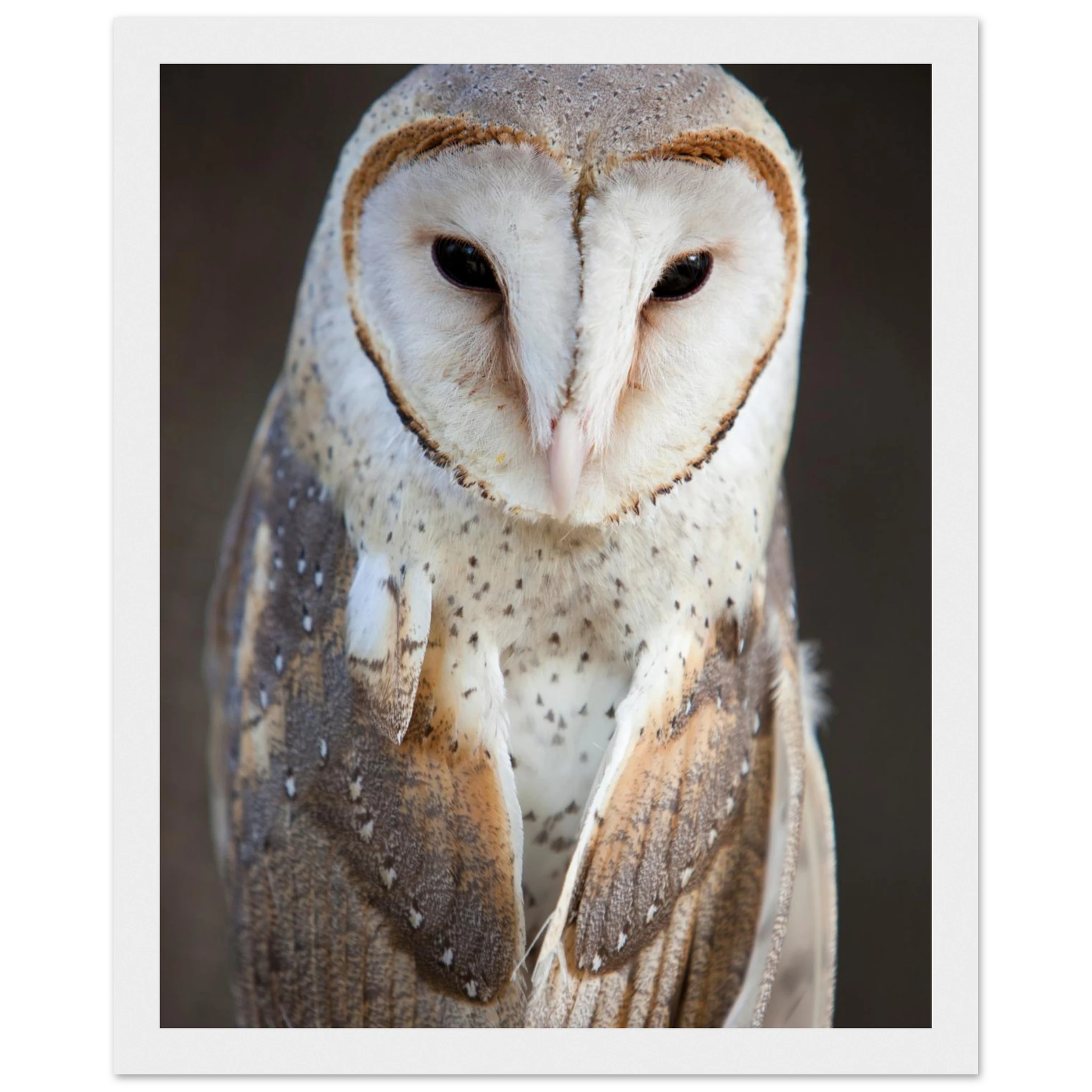 c7815ce8-7627-4c0f-bfcd-e2ea38b5c139