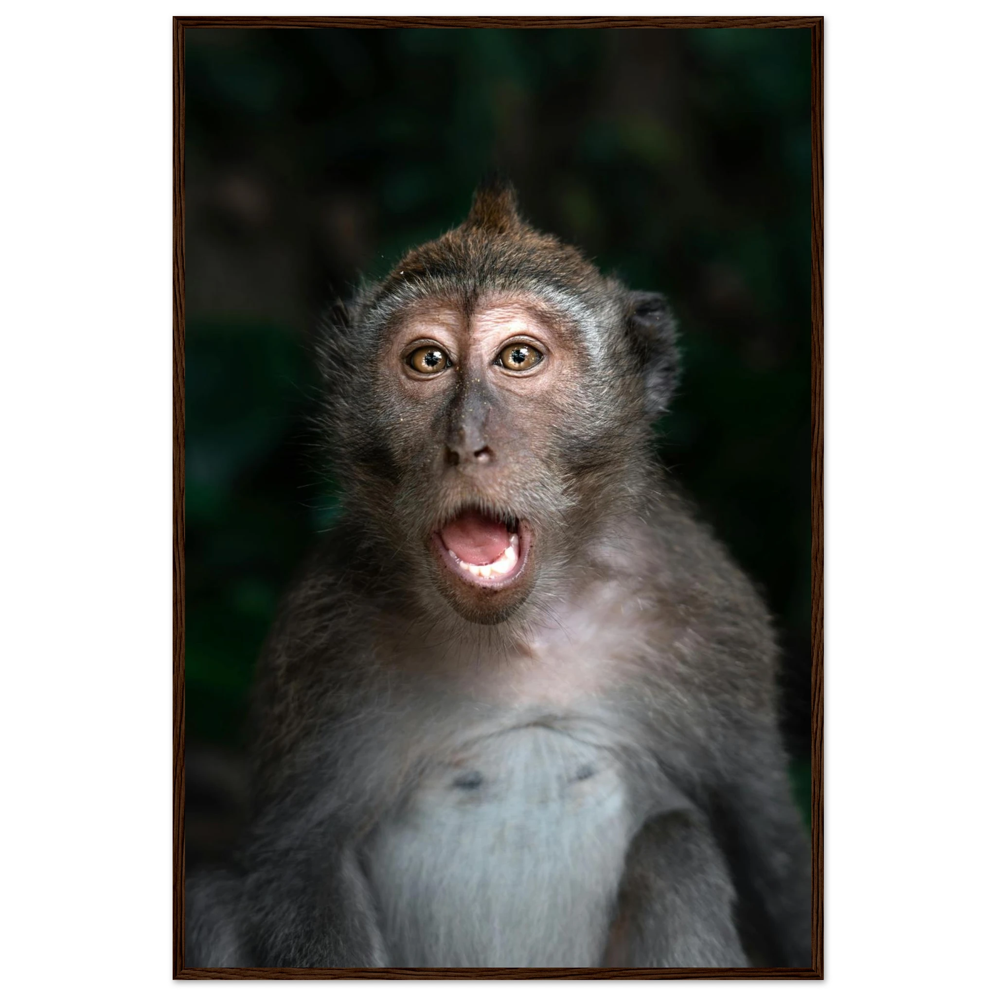 c7a81c94-4133-4a87-a8ba-a799f6bad9af