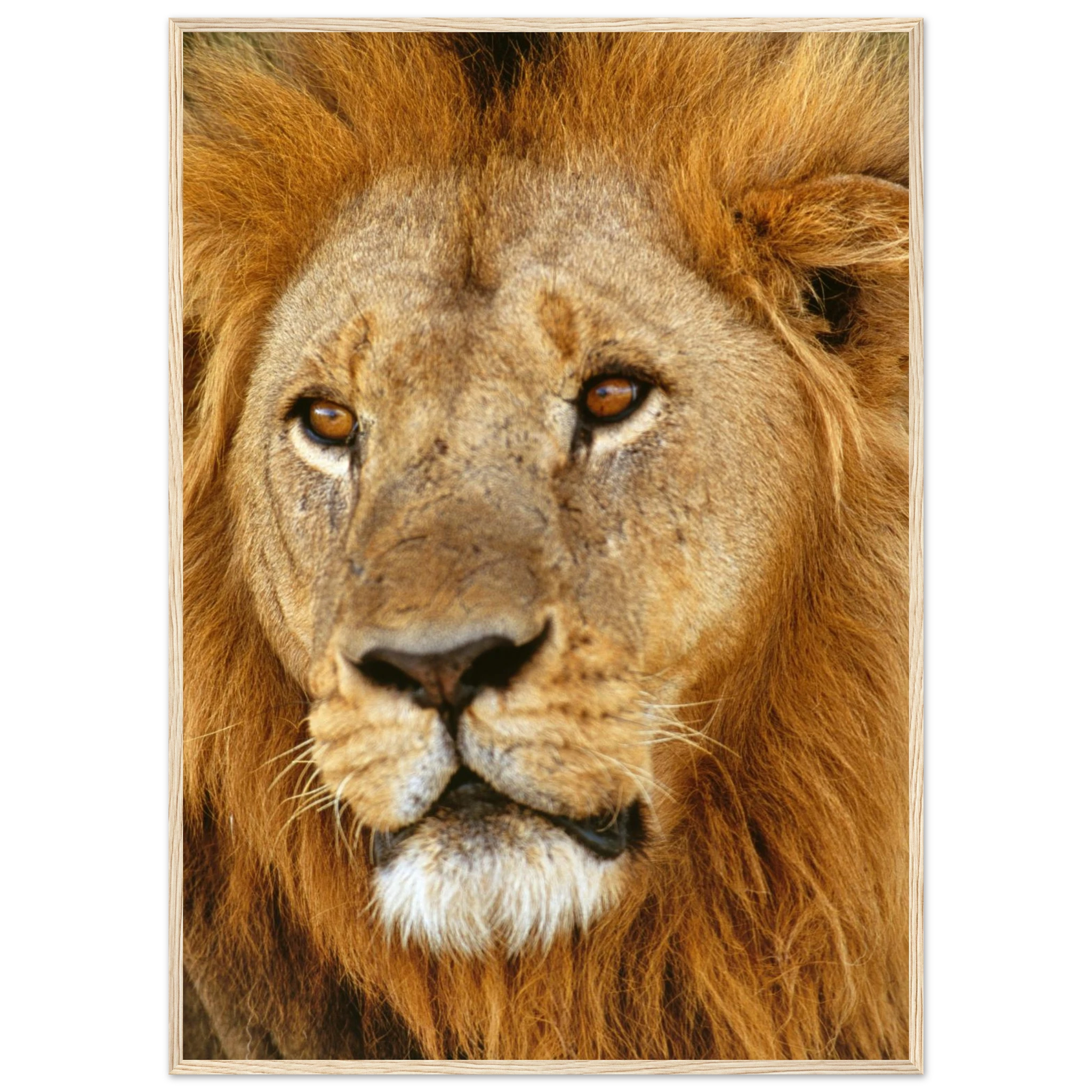 c7c88049-3f34-41e2-b99d-a5fcb2e608d2