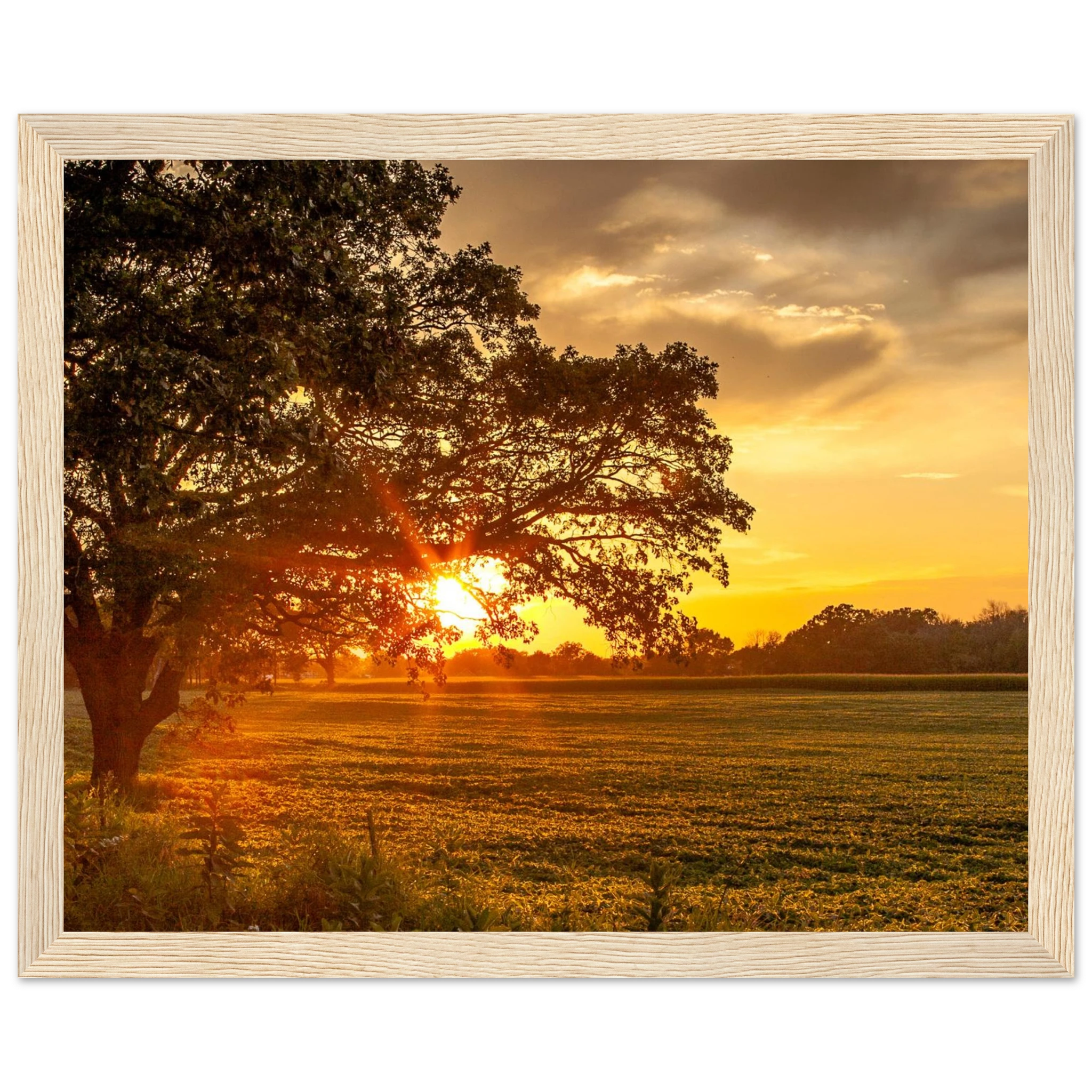 c7c9c264-6c2d-4760-9460-0cdc94f2b618