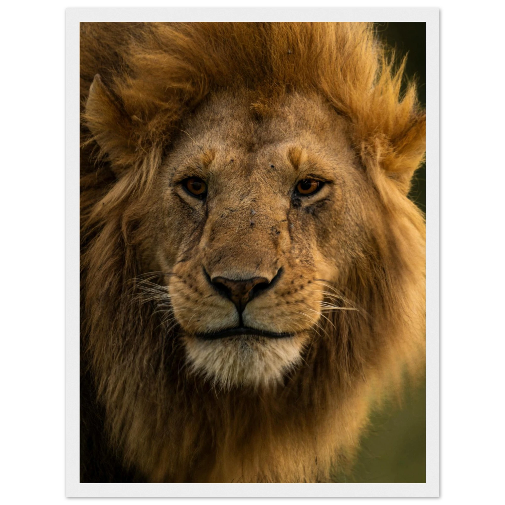 c7c9c8c2-d77d-4202-8bdf-bb4d12801a36