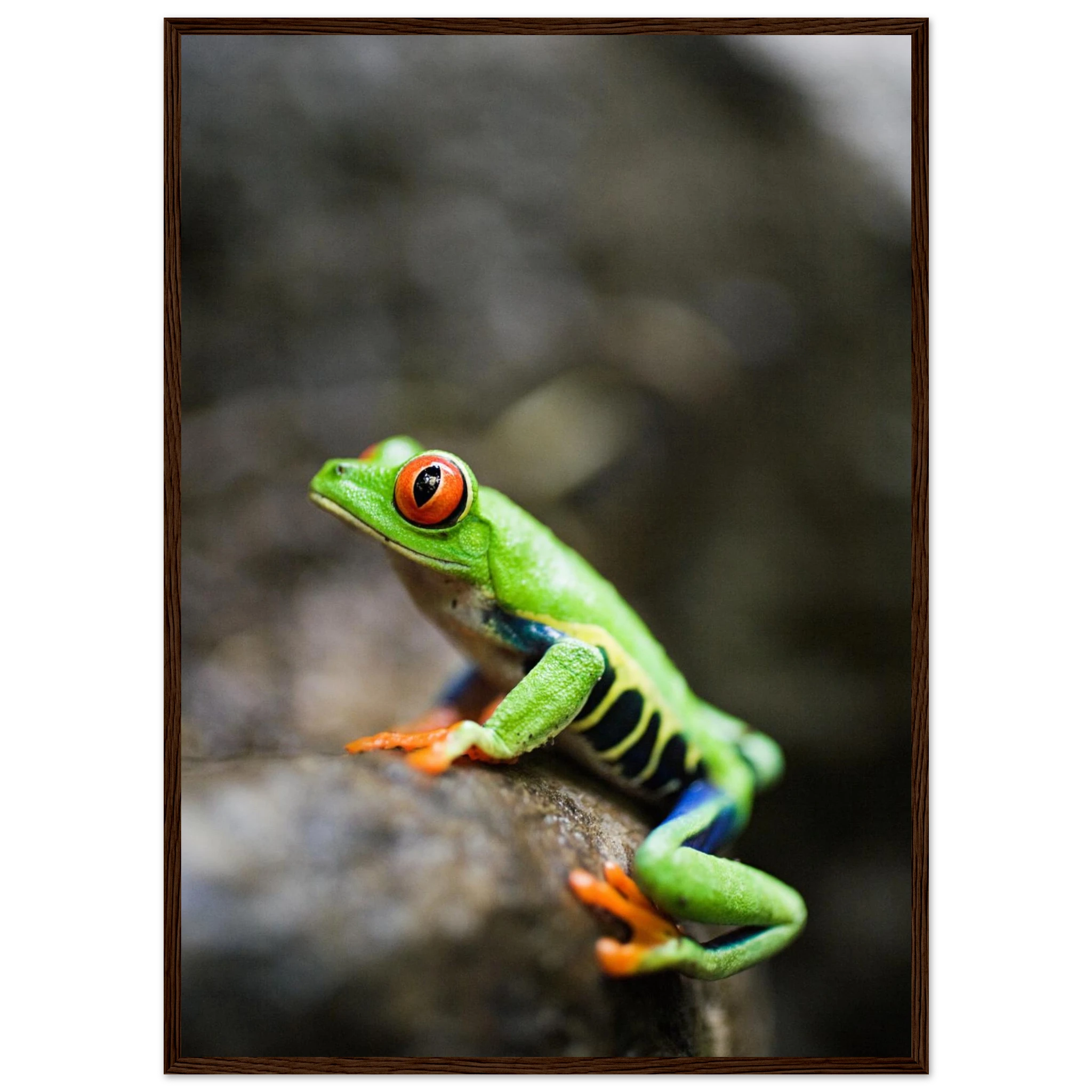 c7ec0c05-0a93-426b-b73e-65a12f5a47b8