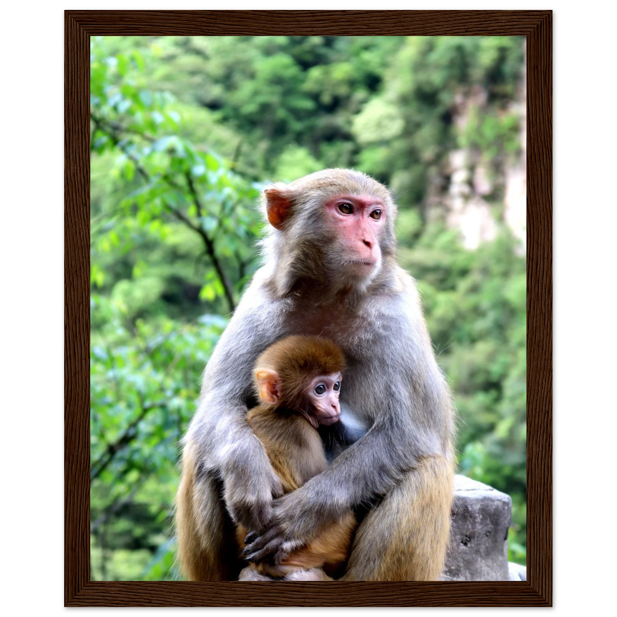 c7ecb2e8-f606-42be-9bde-c69873b8d78e