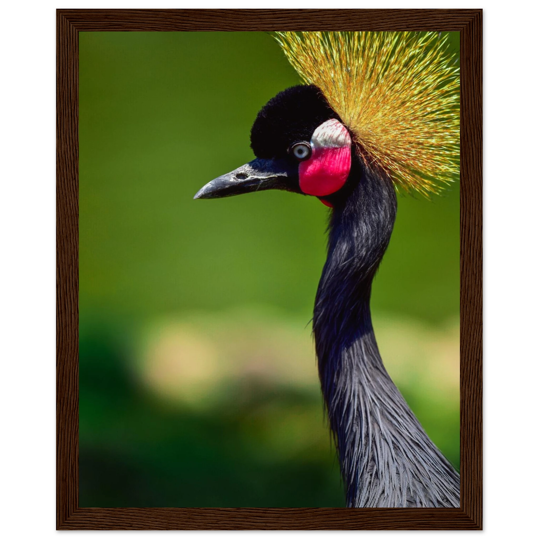 c80e87e9-80a2-42de-8d0c-bf4d0e8f5909