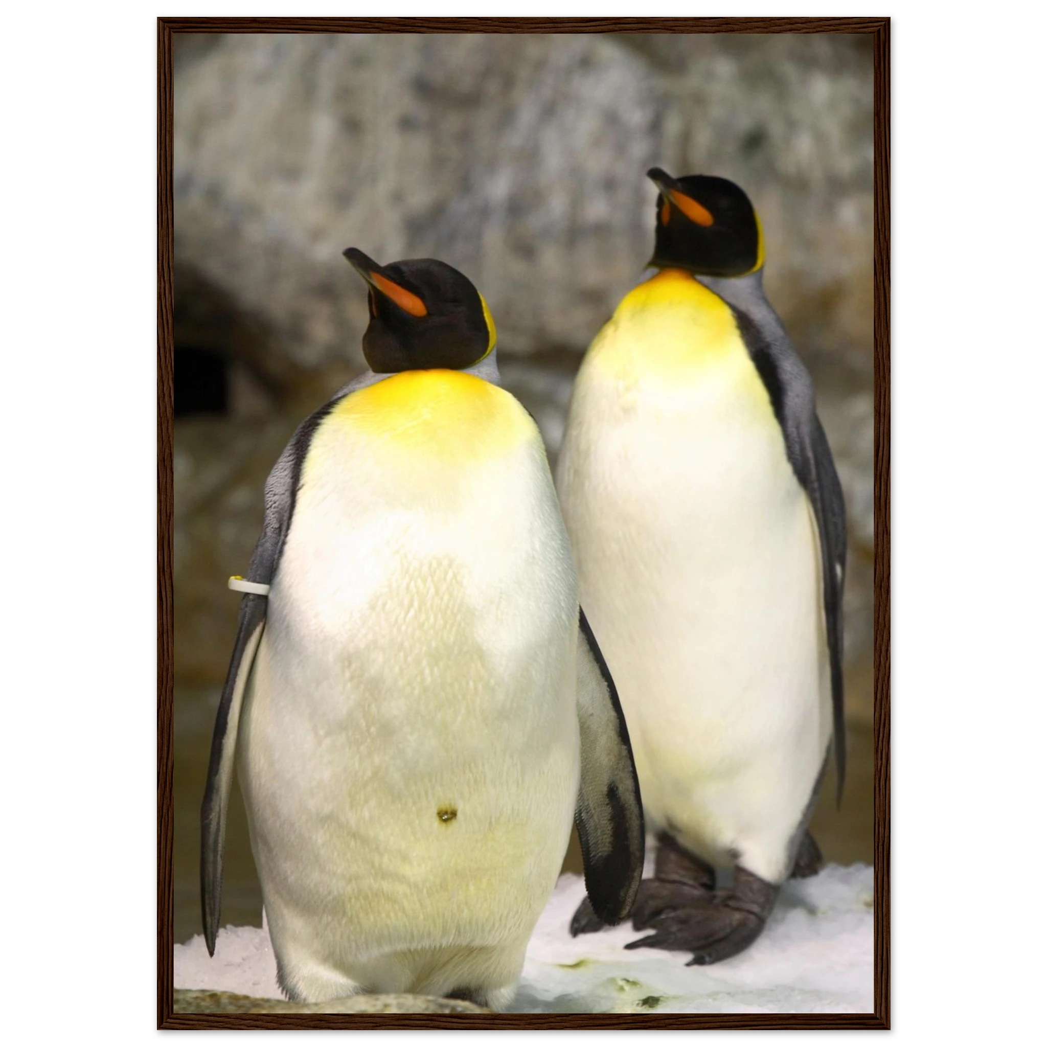 c8193e7b-3cab-4df9-98ec-5fa05a100837