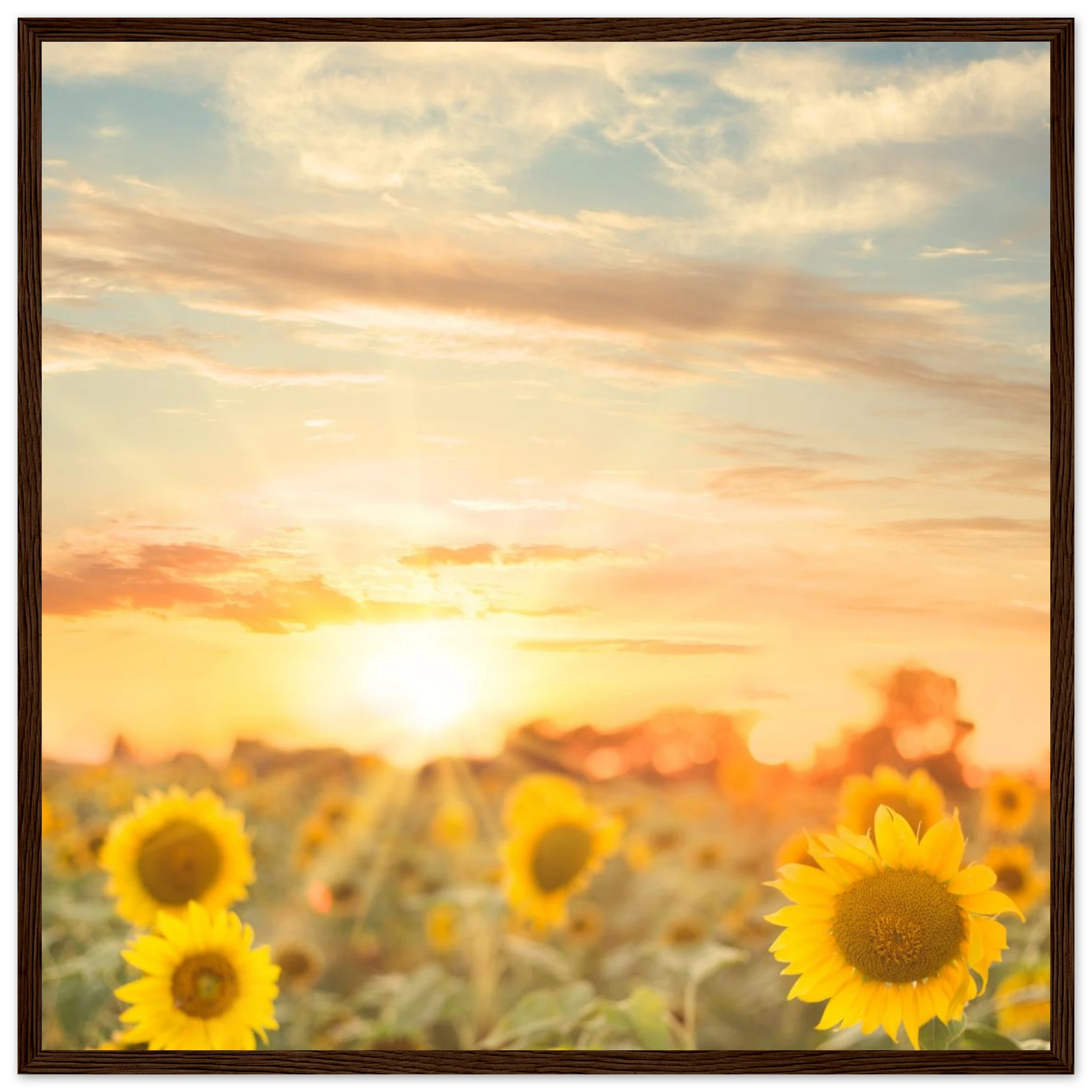 c8459489-a7f1-4d4f-bafe-d3fdd68f7583